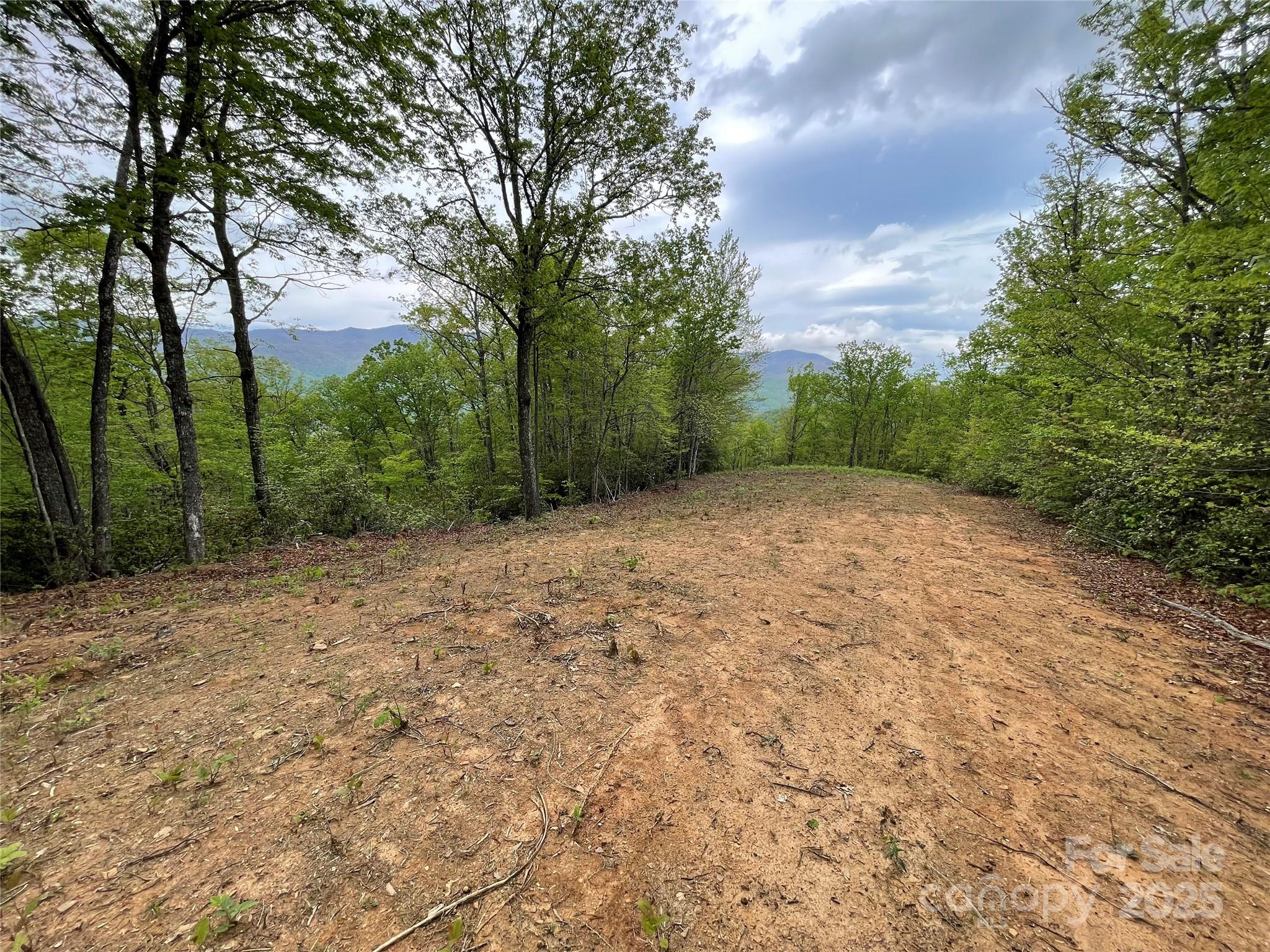 Acreage at 930 Copperhead Cove, Sylva, photo 14 of 48