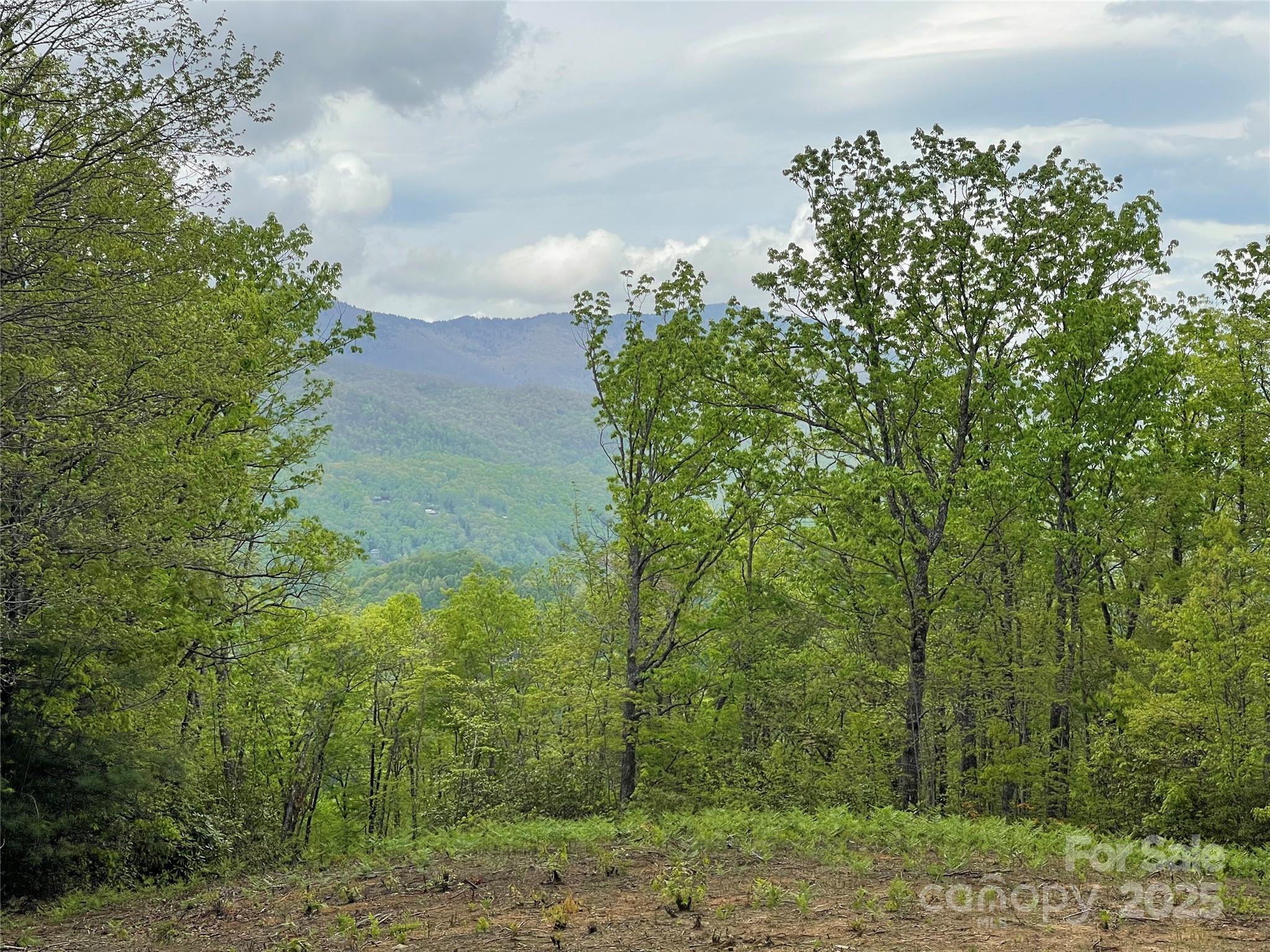 Acreage at 930 Copperhead Cove, Sylva, photo 16 of 48