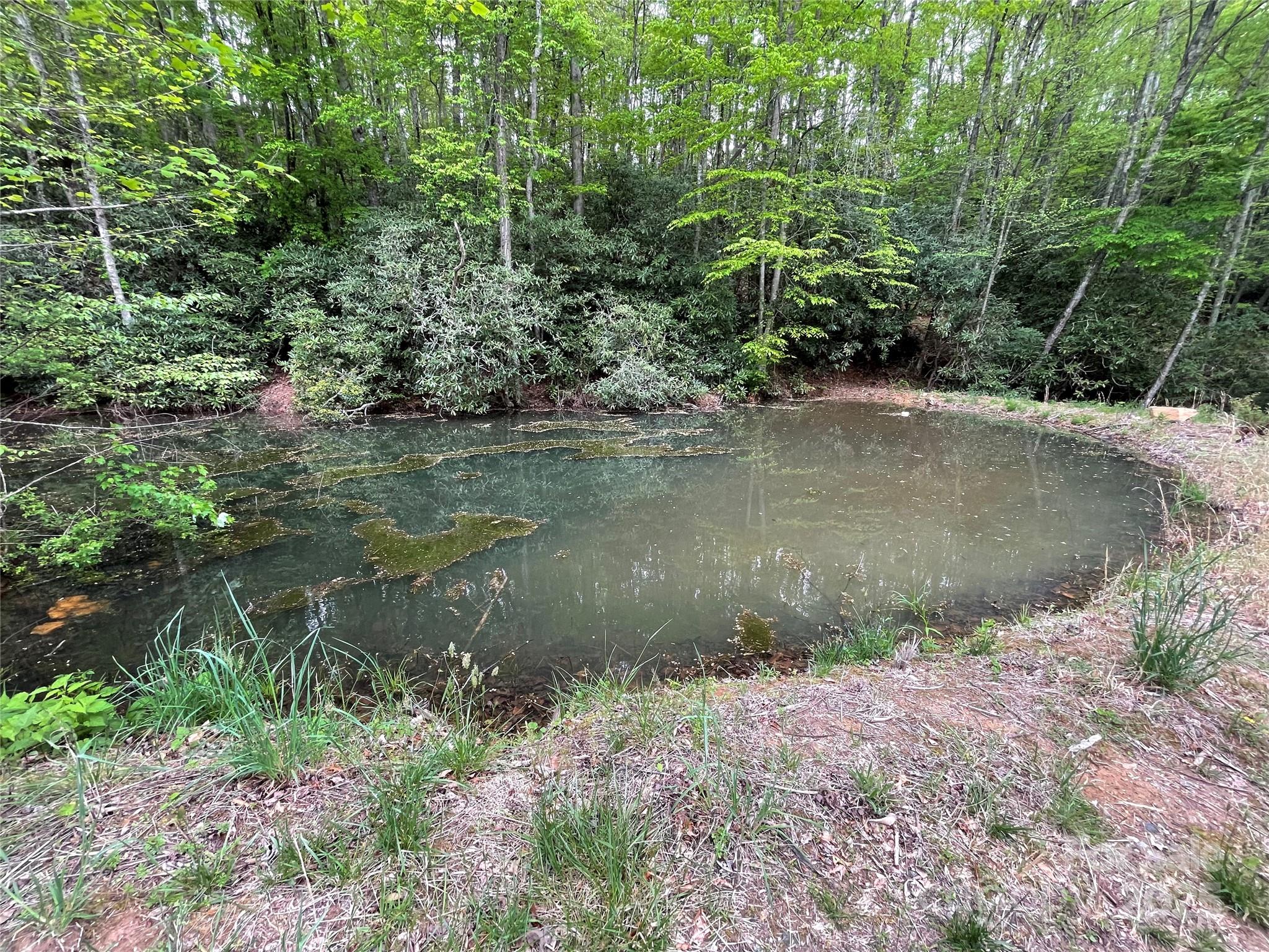 Acreage at 930 Copperhead Cove, Sylva, photo 17 of 48