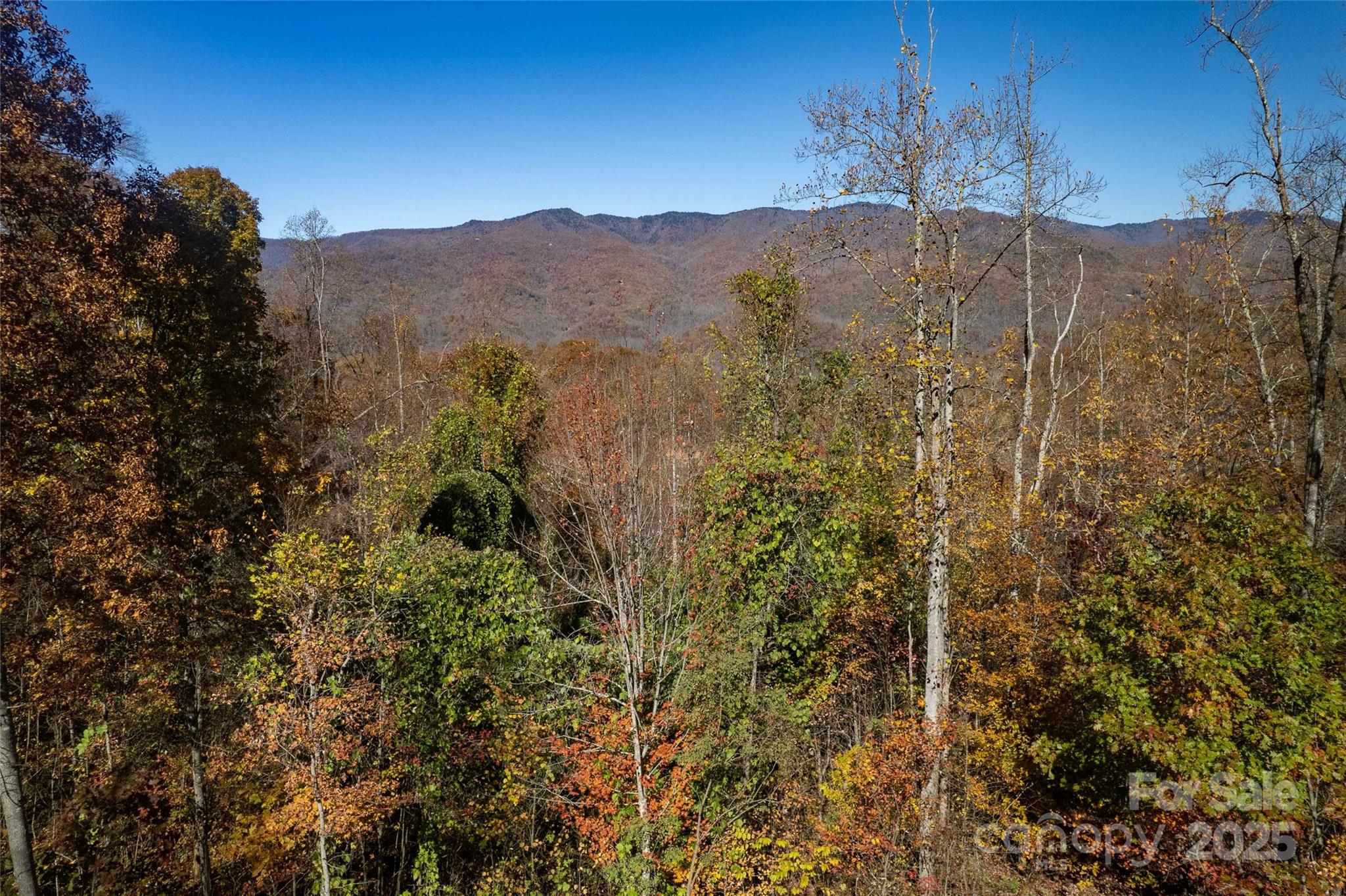 Acreage at 930 Copperhead Cove, Sylva, photo 20 of 48