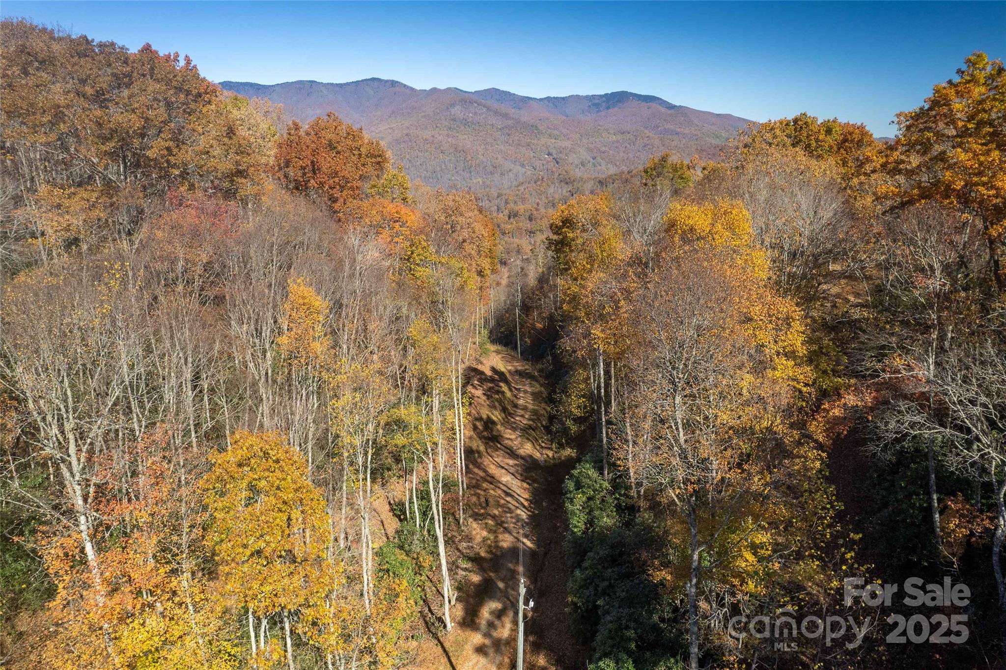 Acreage at 930 Copperhead Cove, Sylva, photo 22 of 48