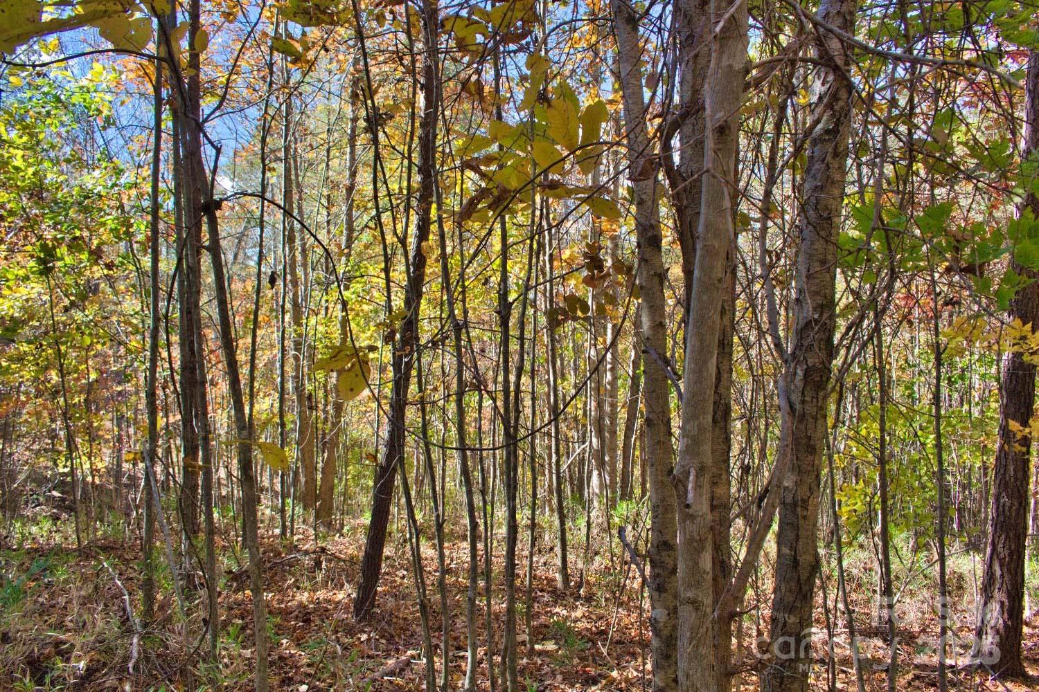 Lot at 0 Creekside Circle, Rutherfordton, photo 2 of 4