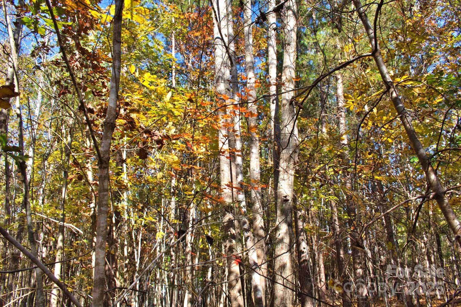 Lot at 0 Creekside Circle, Rutherfordton, photo 4 of 4