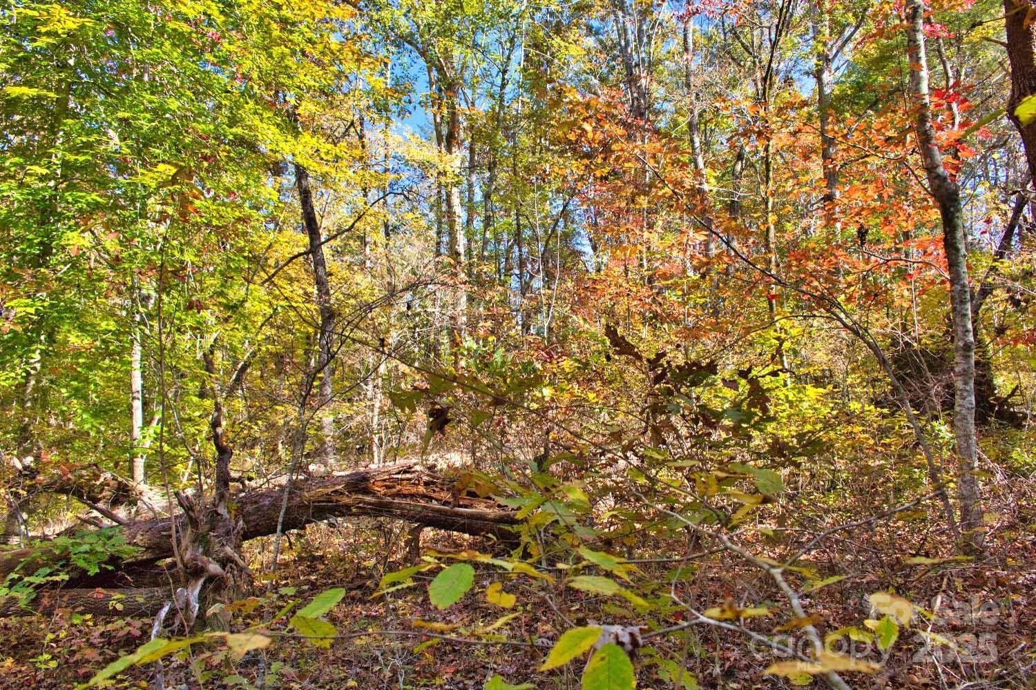 Lot at 0 Bitteroot Circle, Rutherfordton, photo 2 of 5