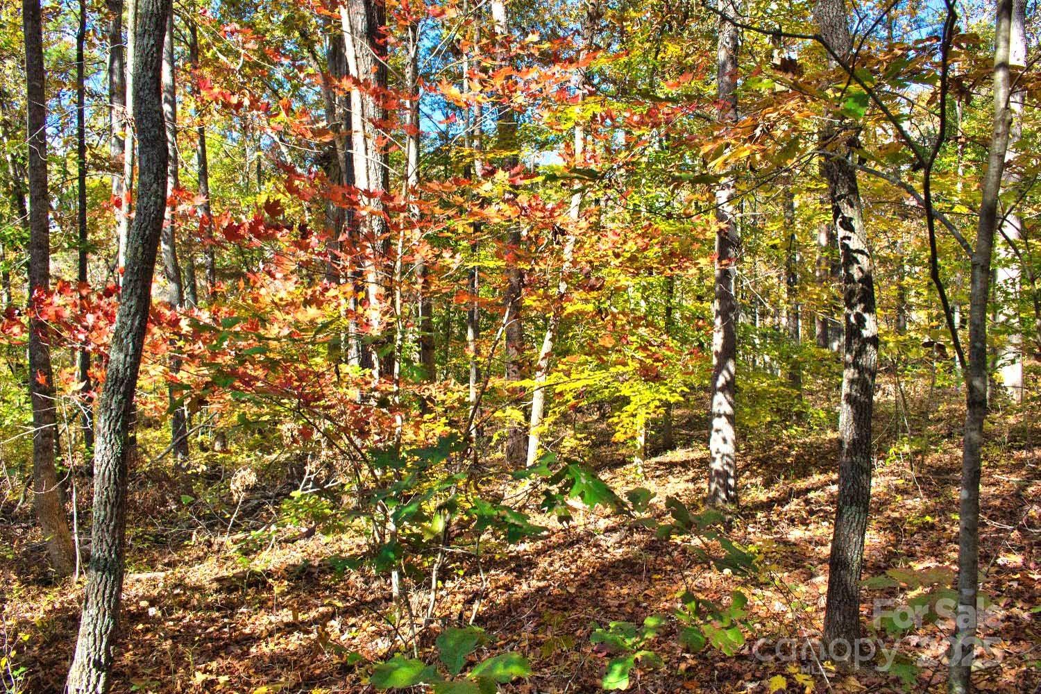 Lot at 0 Bitteroot Circle, Rutherfordton, photo 3 of 5