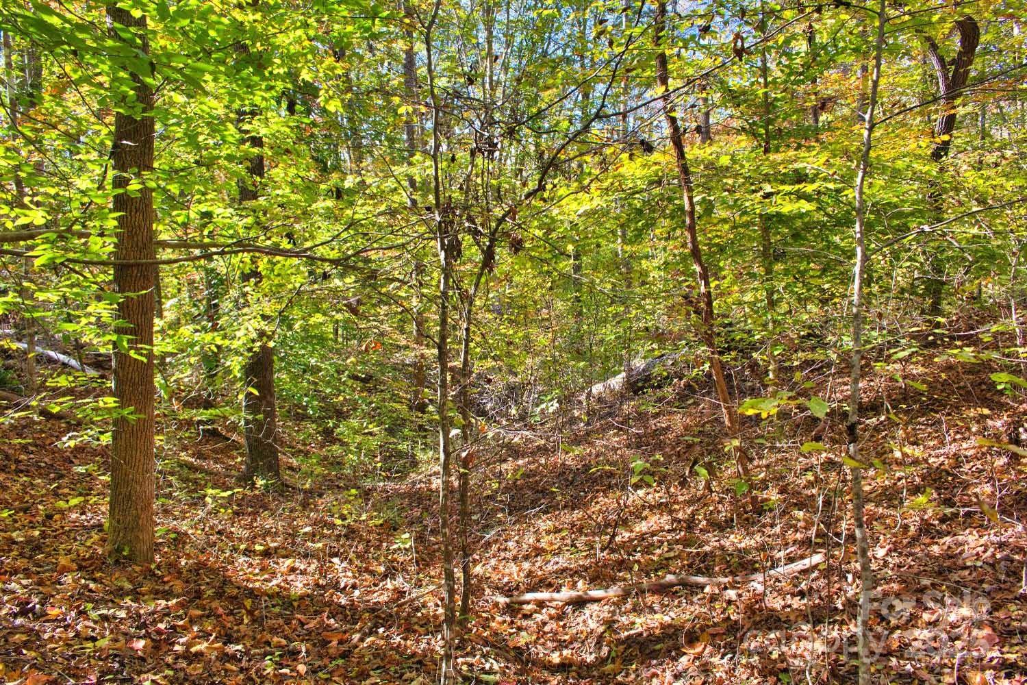Lot at 0 Bitteroot Circle, Rutherfordton, photo 4 of 5