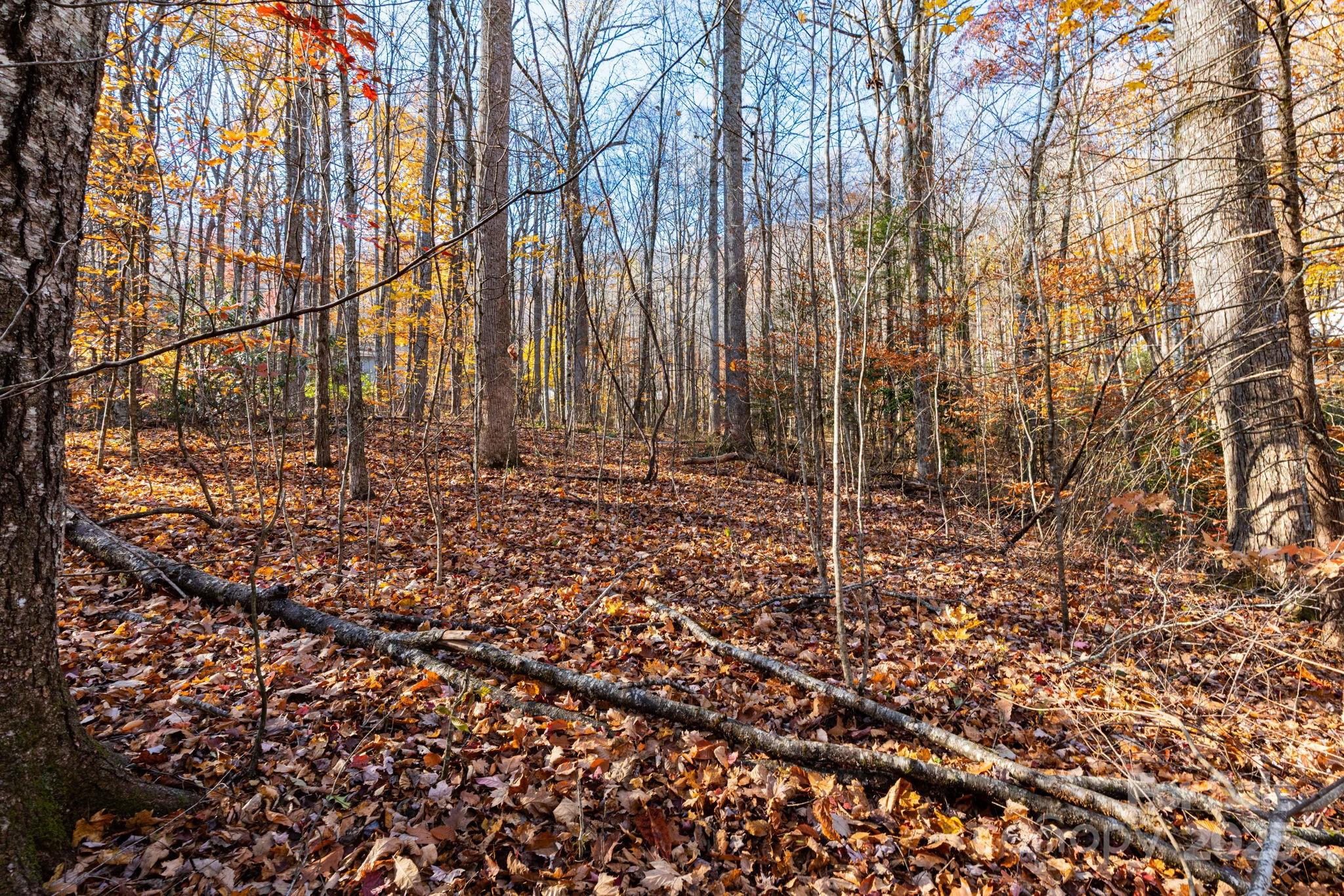Lot at Lot 62 Twinbrook Lane, Maggie Valley, photo 4 of 22