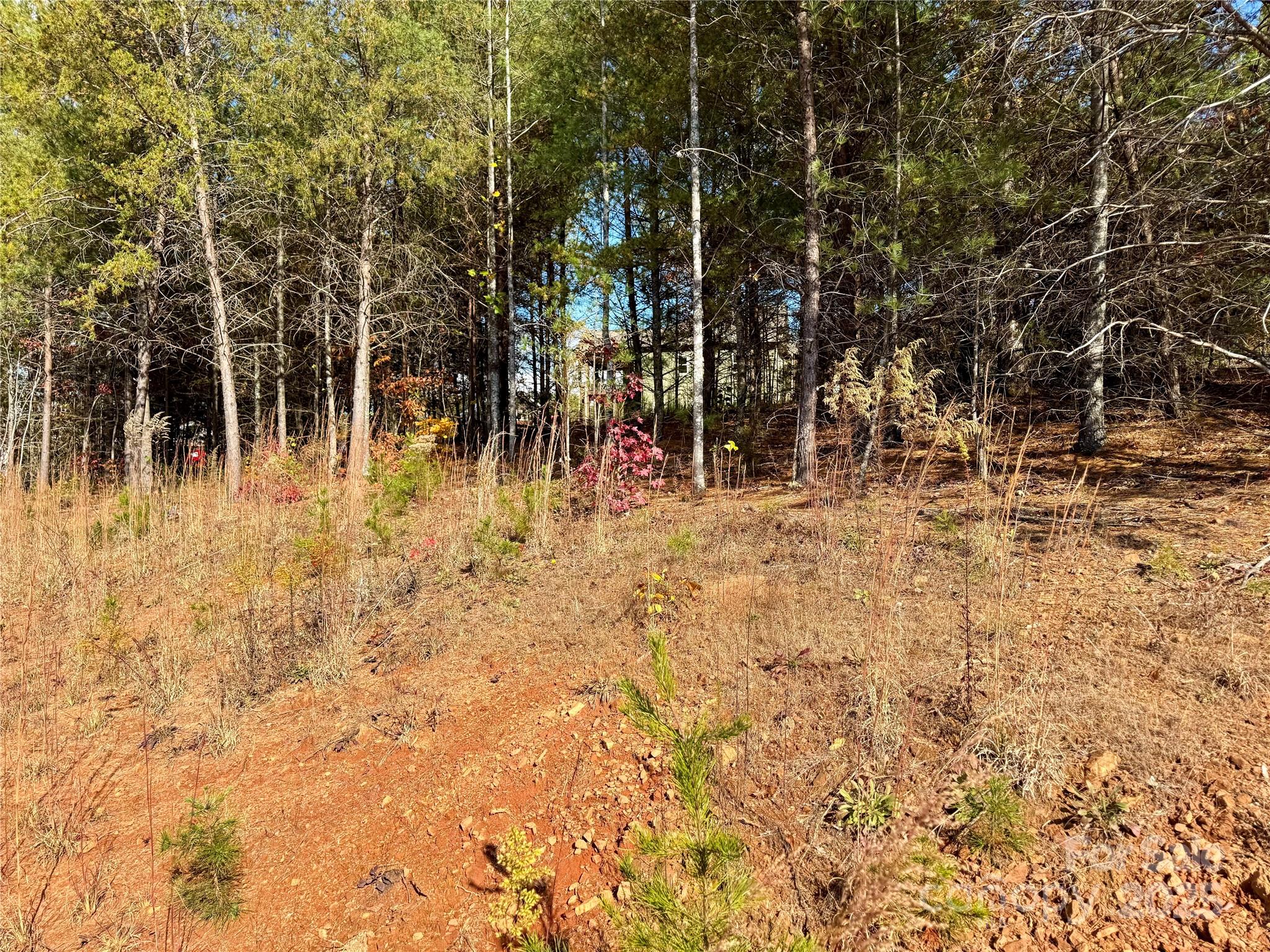 Lot at Lot G44, 2023 Shadow Ridge Trail, Lenoir, photo 7 of 47