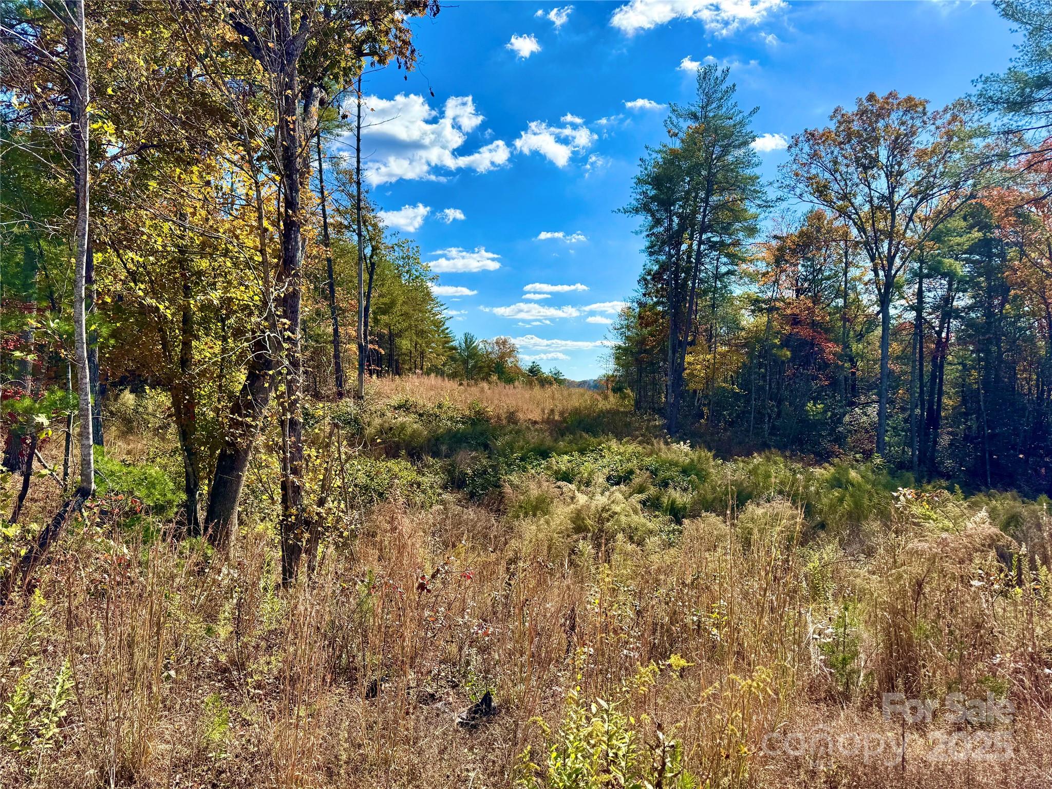 Lot at Lot G44, 2023 Shadow Ridge Trail, Lenoir, photo 12 of 47