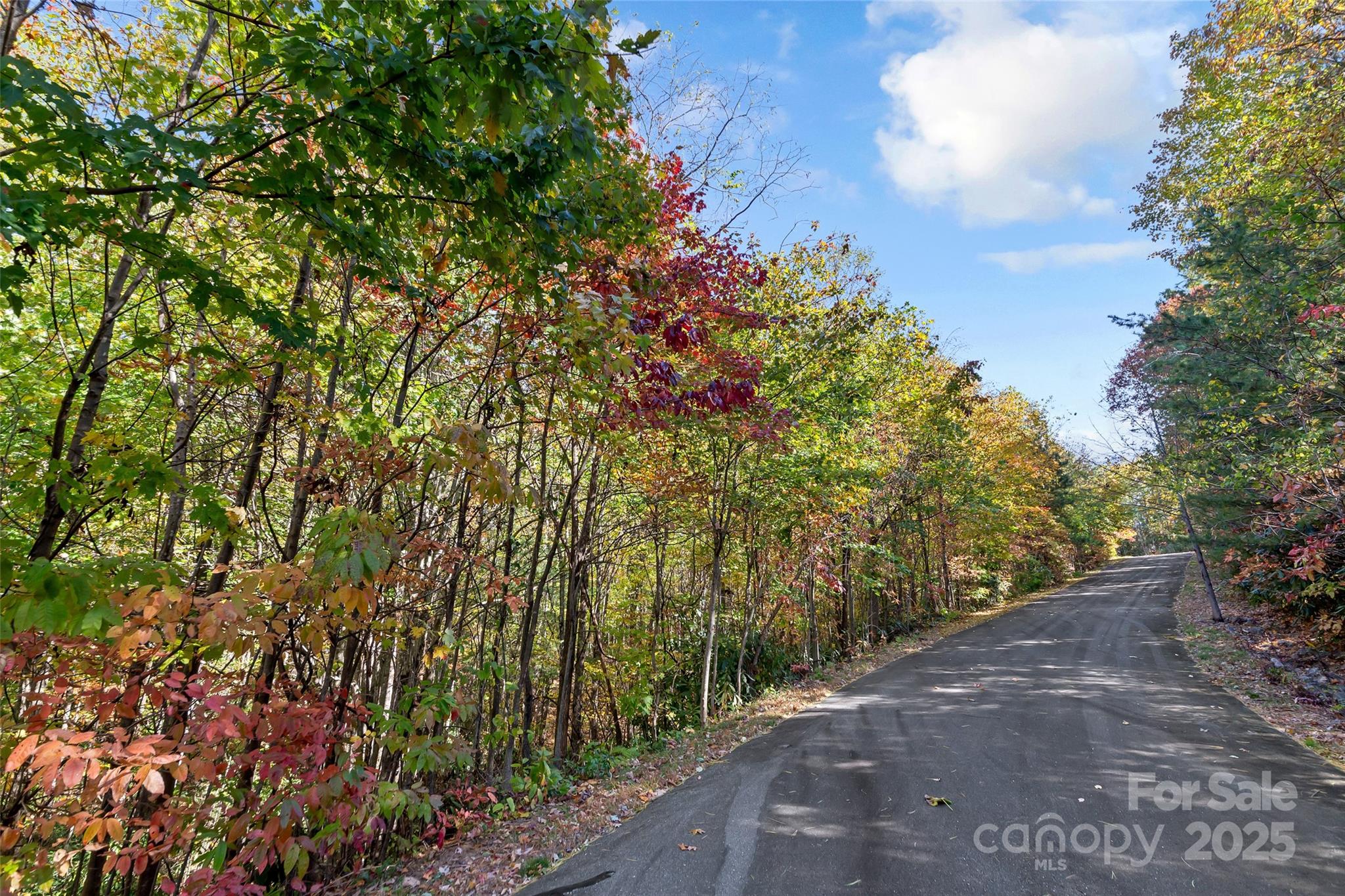 Lot at 38 Attica Falls Trail, Black Mountain, photo 8 of 30