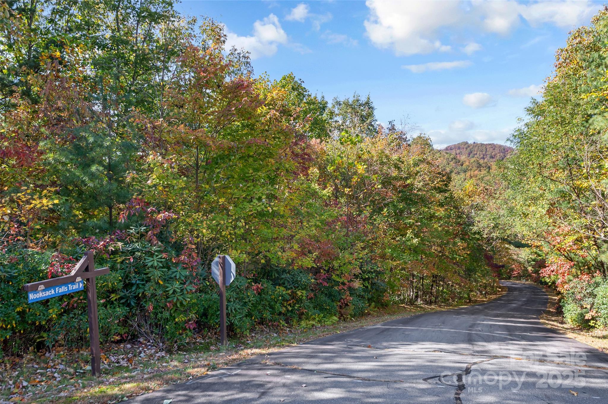 Lot at 38 Attica Falls Trail, Black Mountain, photo 12 of 30
