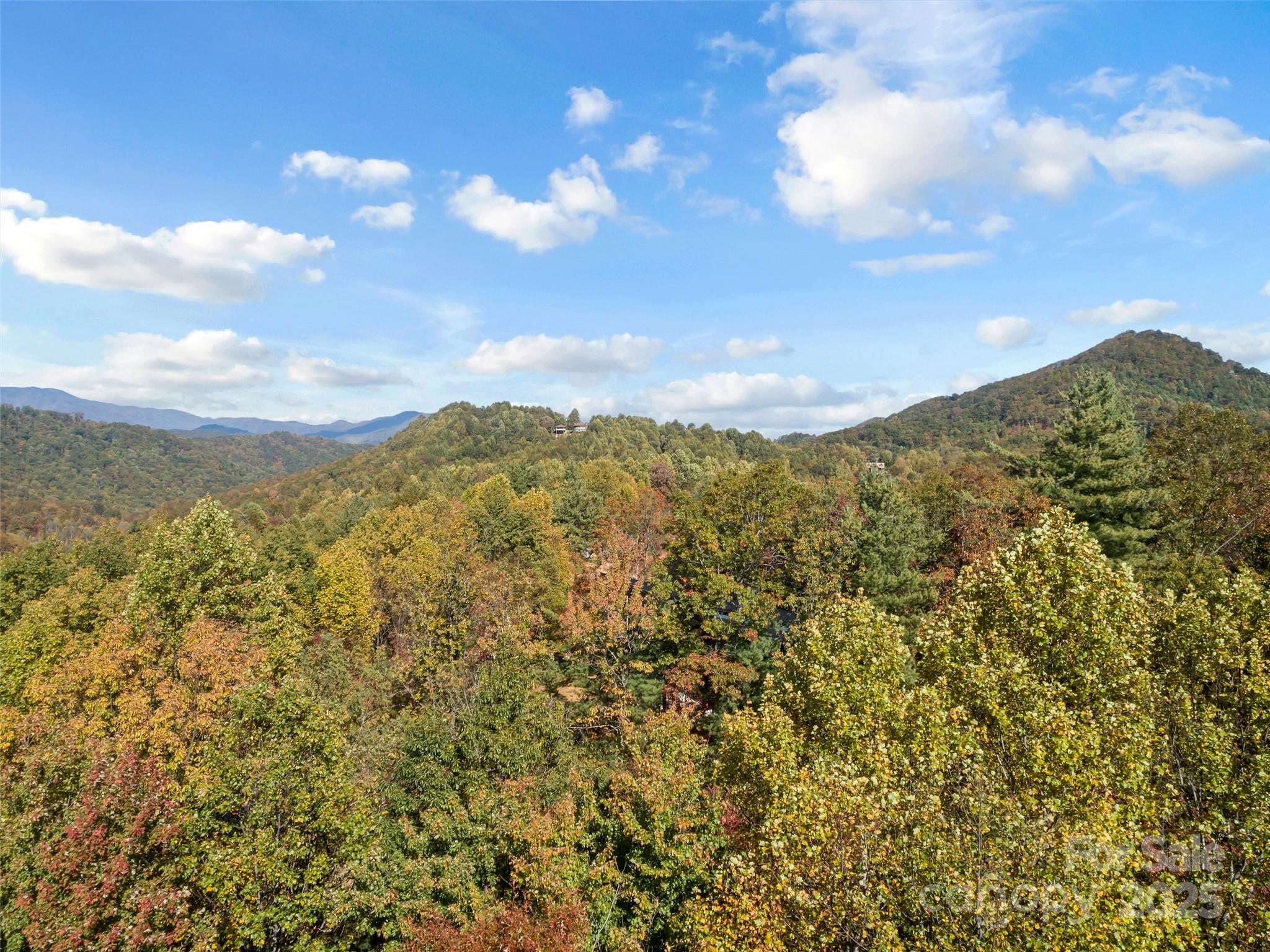 Lot at 38 Attica Falls Trail, Black Mountain, photo 17 of 30