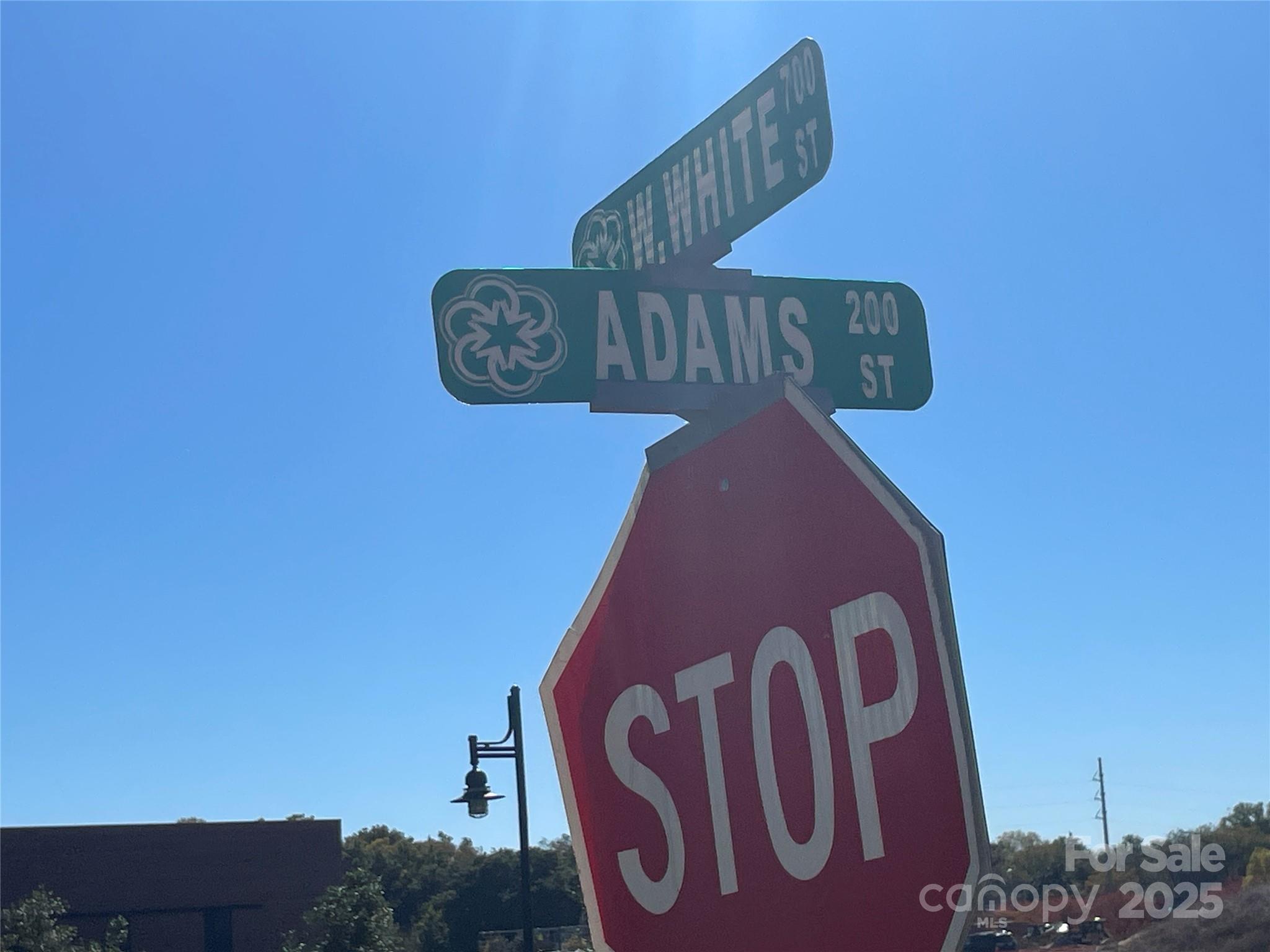 Unimproved Commercial at 218 Adams Street, Rock Hill, photo 7 of 11