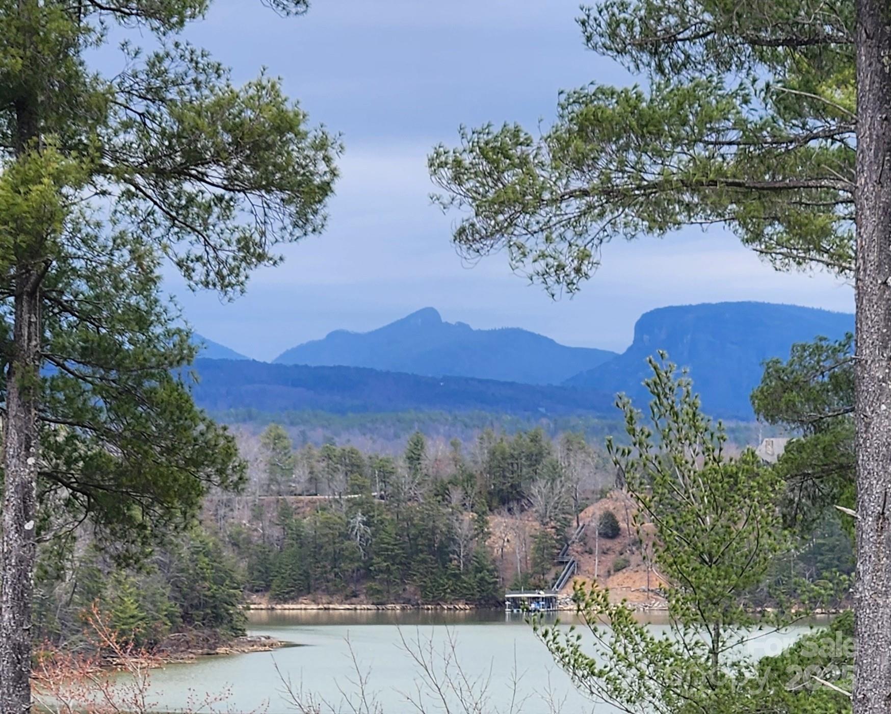 Close up of Grandfather Mountain - 152 Dockside Drive, Nebo