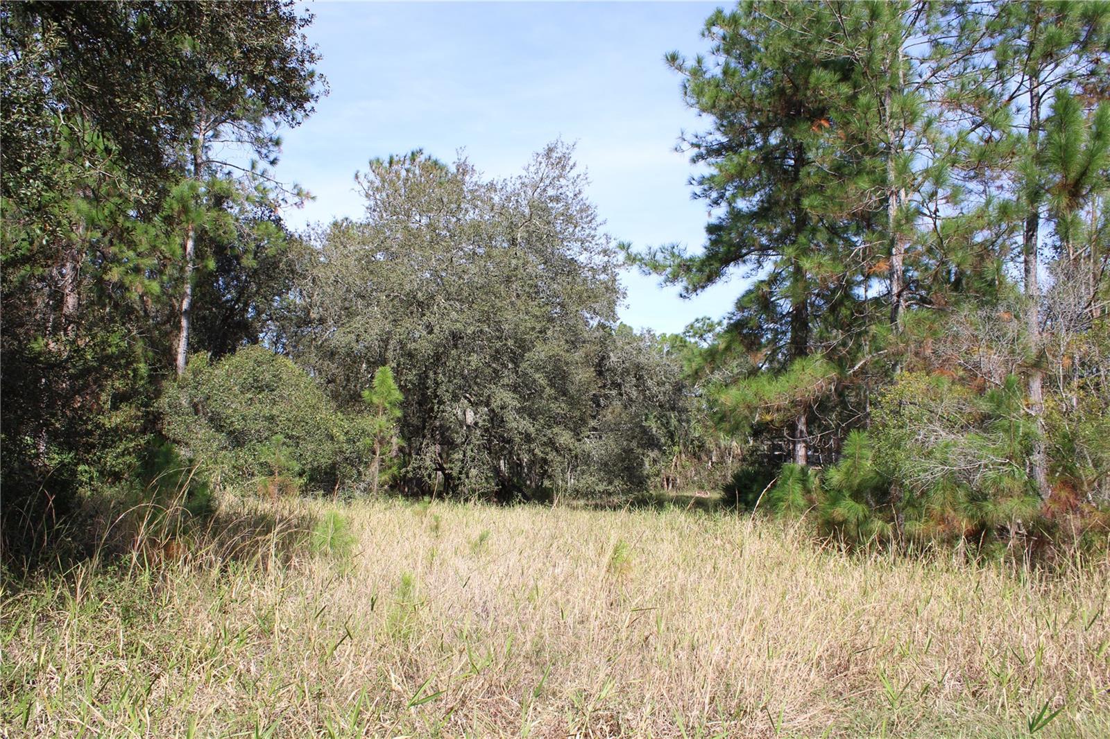DUBOISE DR