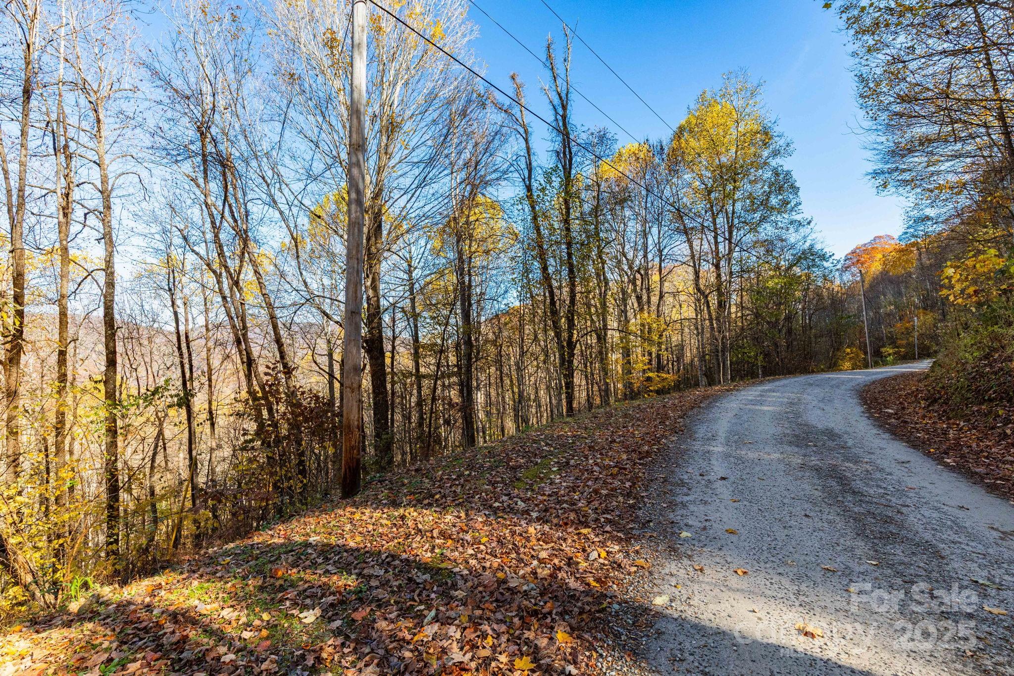 Lot to the left of the road. Steepest just off Appaloosa, level area is below, off of Bridle Trail - TBD Appaloosa Trail, Waynesville