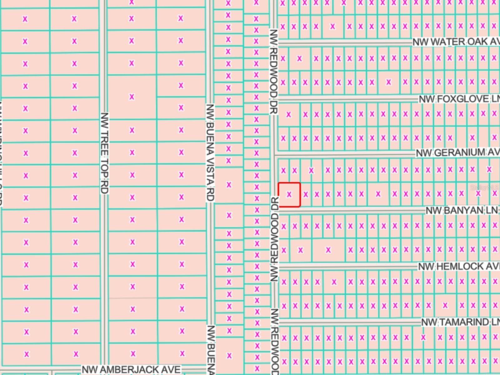 Flood Zone Code X (NO FLOOD ZONE) - LOTS 65 & 66 NW BANYAN LN, DUNNELLON