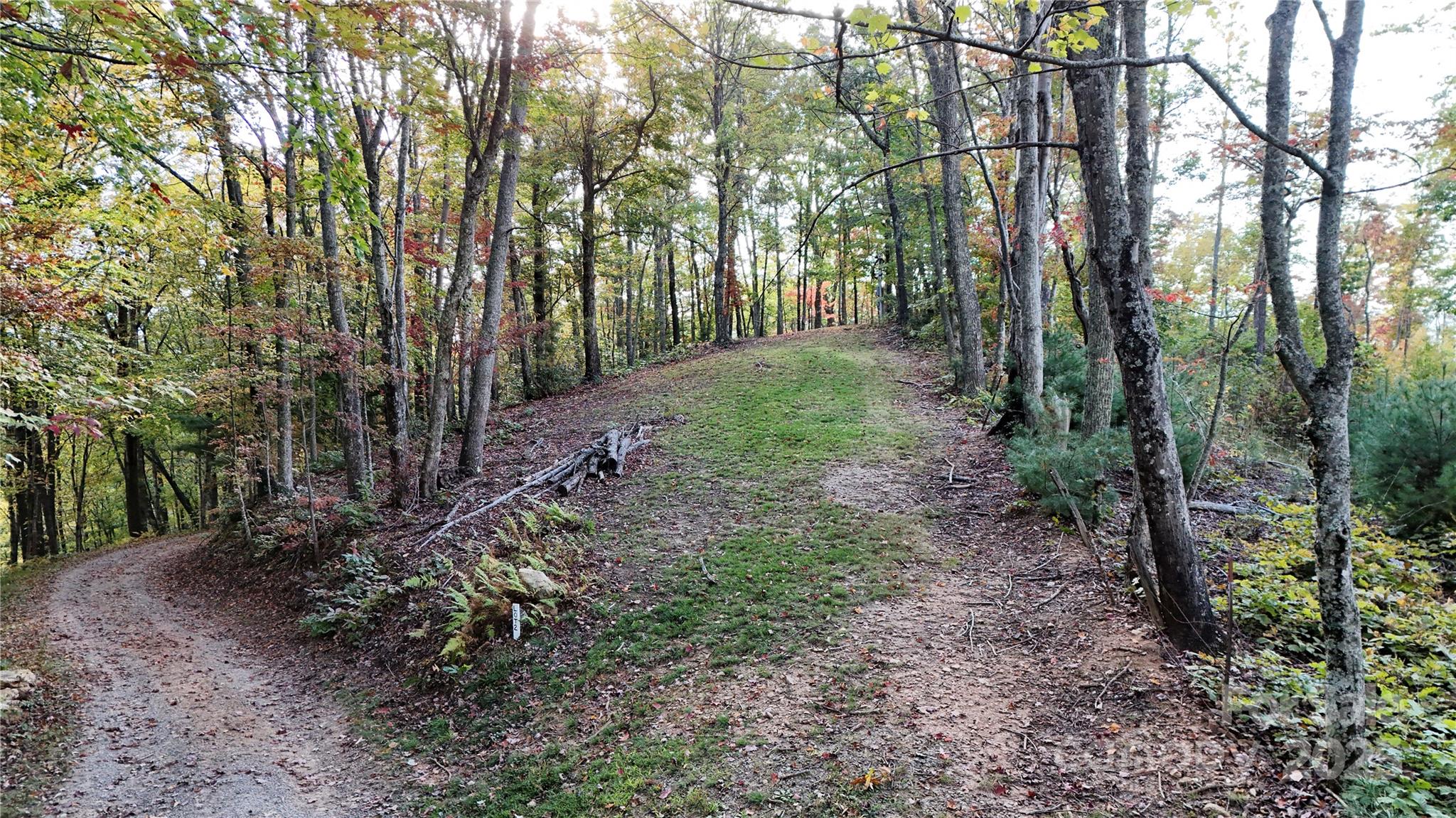 Homesite - 2 Roberts Mountain Road, Clyde