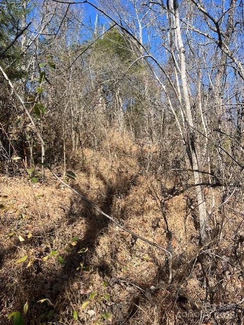 Lot at TBD Bend View Drive, Marshall, photo 8 of 10