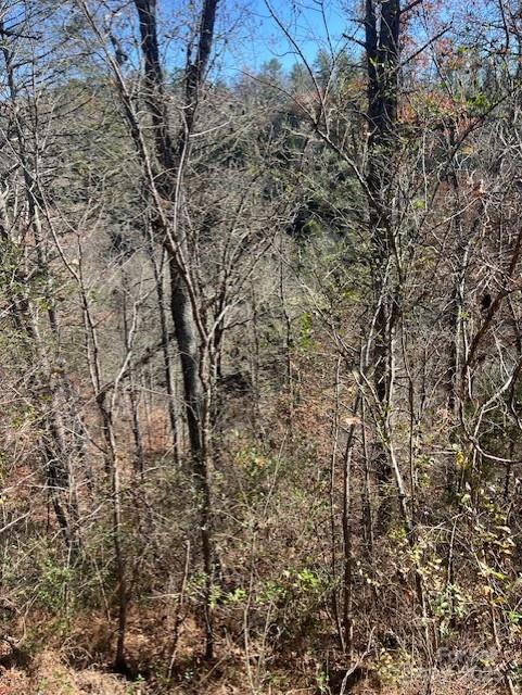 Lot at TBD Bend View Drive, Marshall, photo 10 of 10