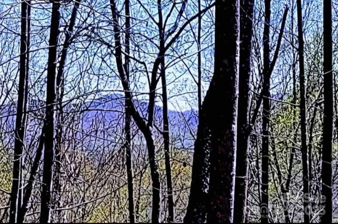 Lot at 153 Westridge Drive, Bostic, photo 2 of 14