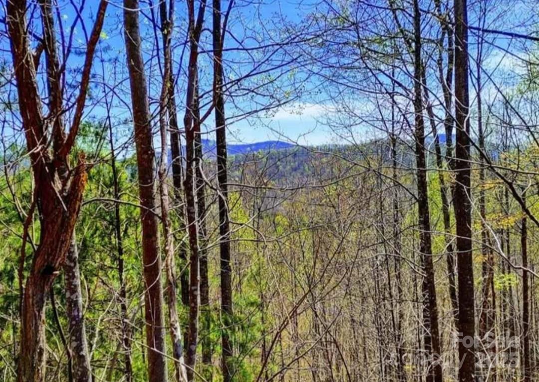 Lot at 153 Westridge Drive, Bostic, photo 8 of 14