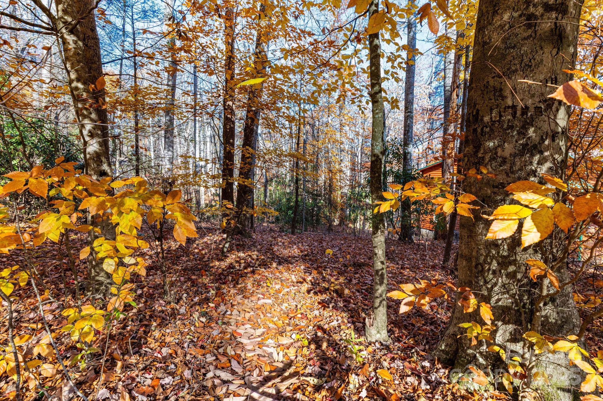 Lot at Lot 62 Twinbrook Lane, Maggie Valley, photo 7 of 22