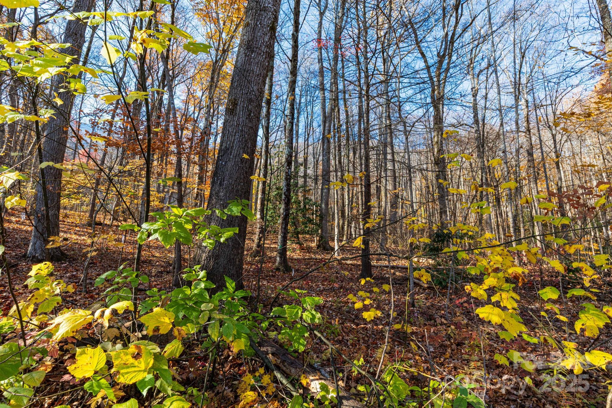 Lot at Lot 62 Twinbrook Lane, Maggie Valley, photo 8 of 22