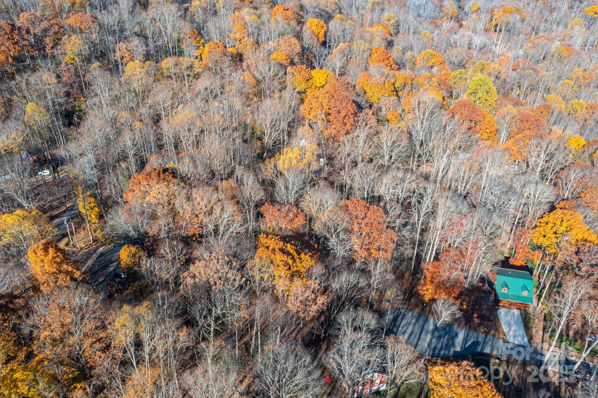 Lot at Lot 62 Twinbrook Lane, Maggie Valley, photo 16 of 22