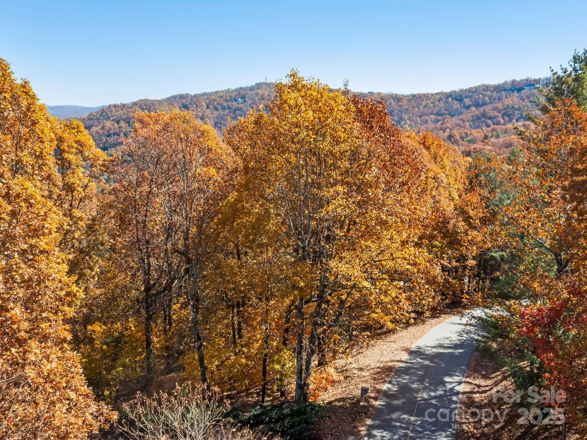 707 Overlook Drive