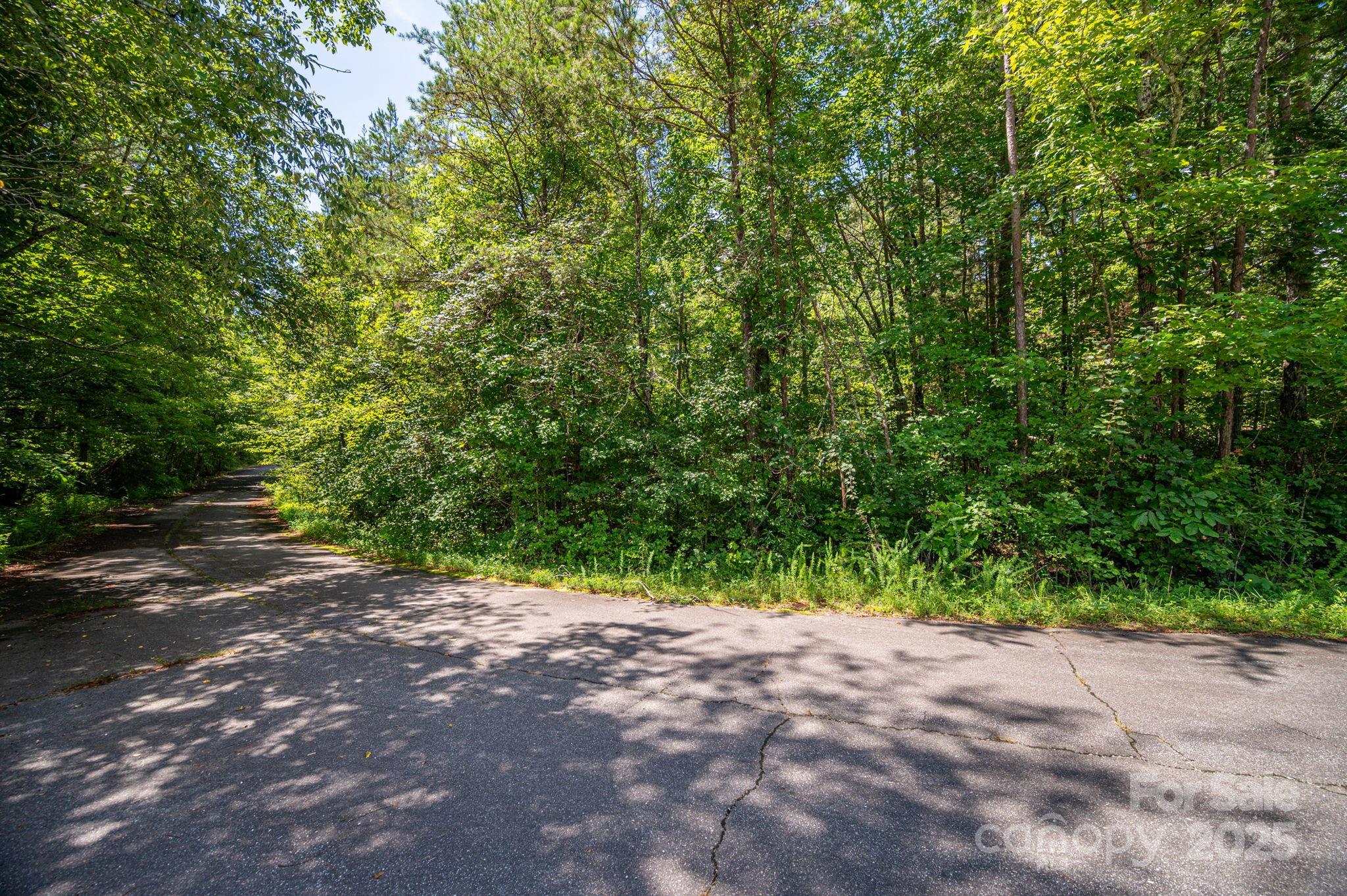 Lot at Lot 40 Line Drive, Forest City, photo 4 of 9