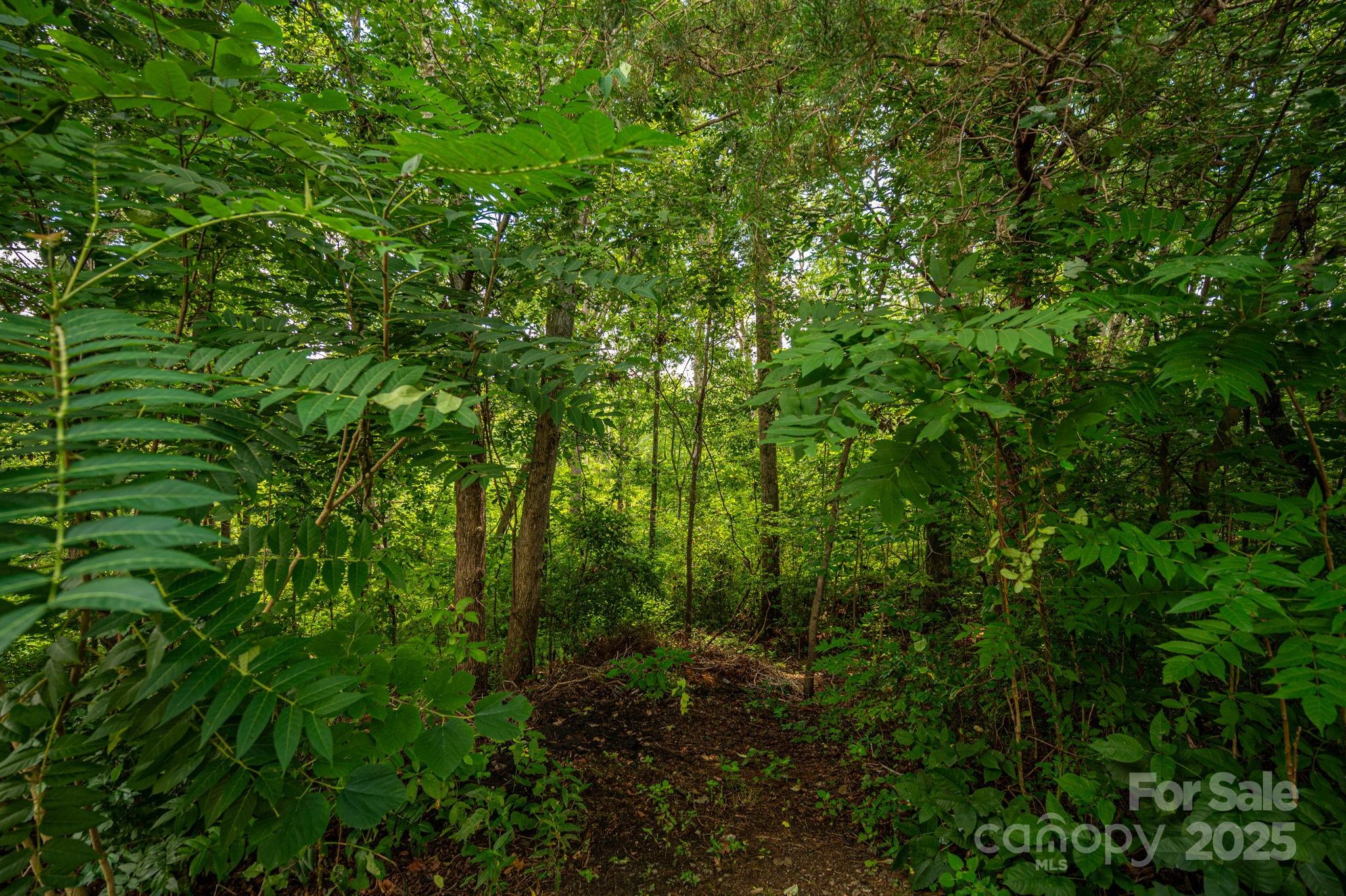 Lot at Lot 35 Line Drive, Forest City, photo 2 of 13