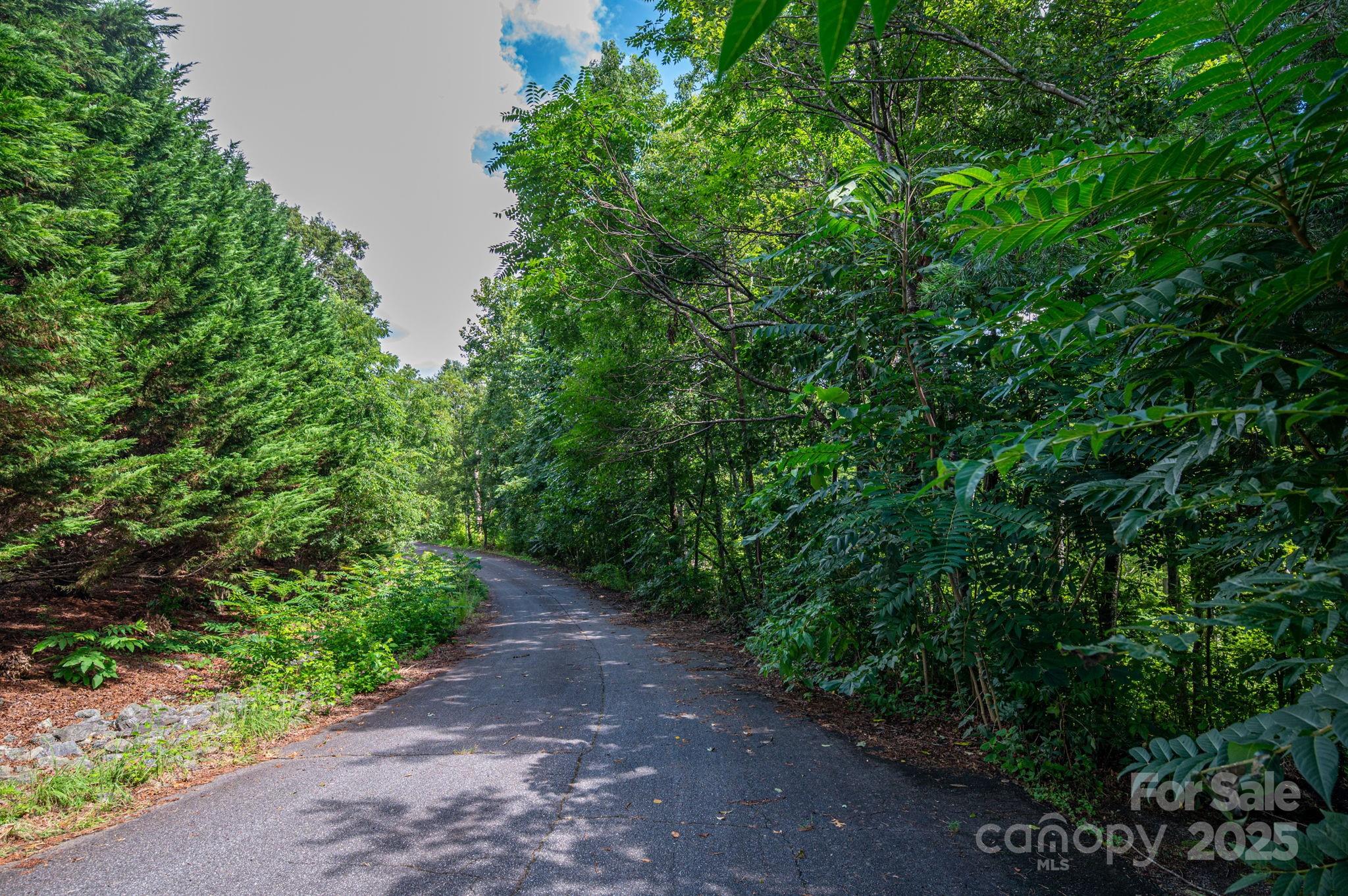 Lot at Lot 35 Line Drive, Forest City, photo 3 of 13