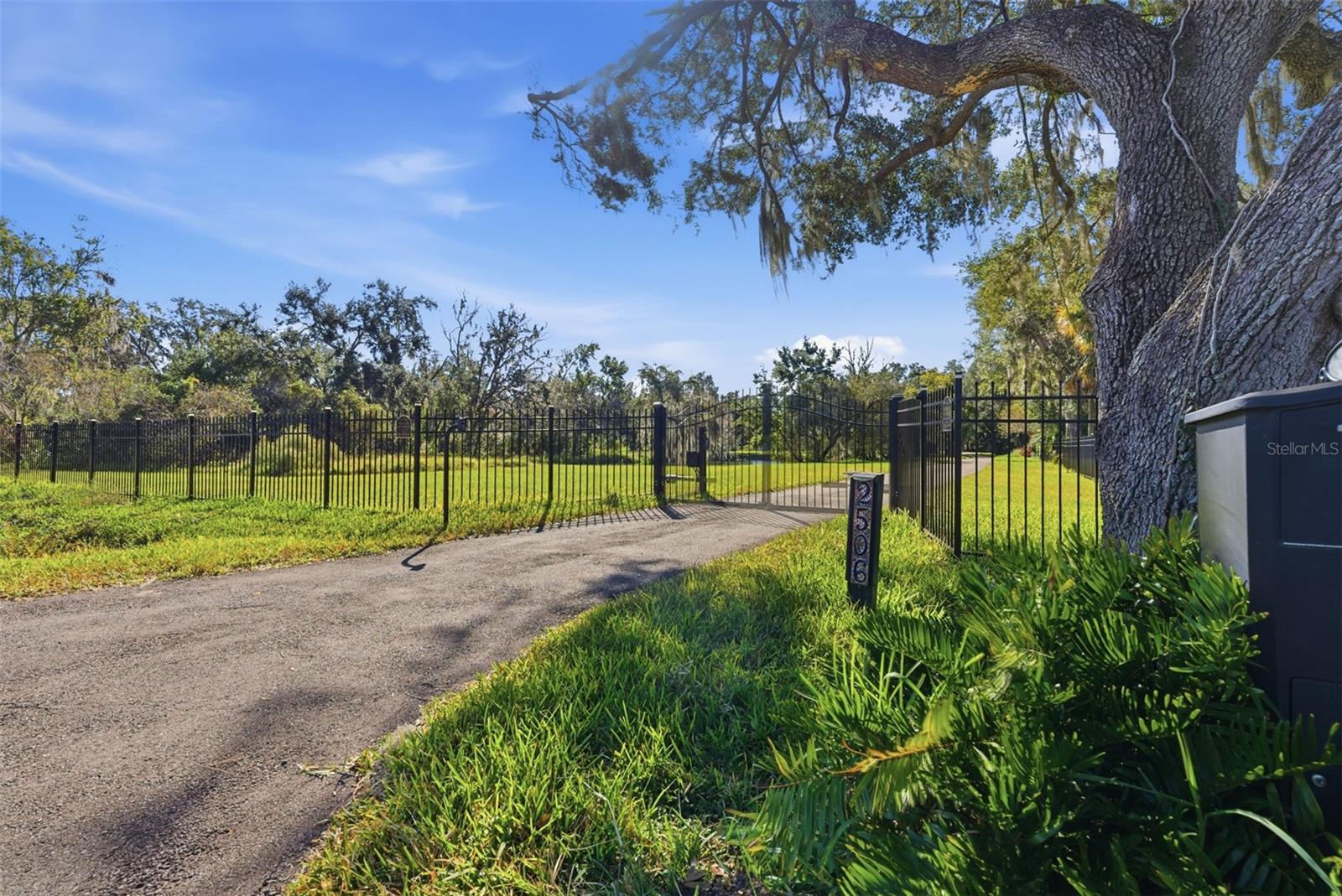 Single Family Residence at 2506 HAWK GRIFFIN RD, PLANT CITY, photo 6 of 50