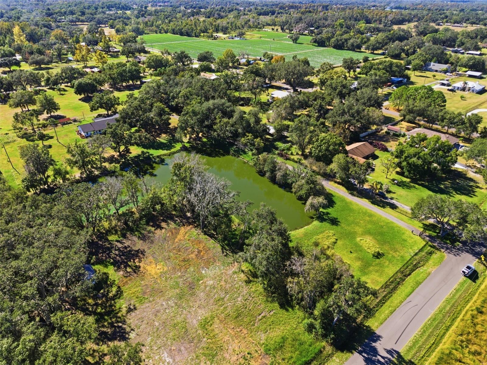 Single Family Residence at 2506 HAWK GRIFFIN RD, PLANT CITY, photo 43 of 50