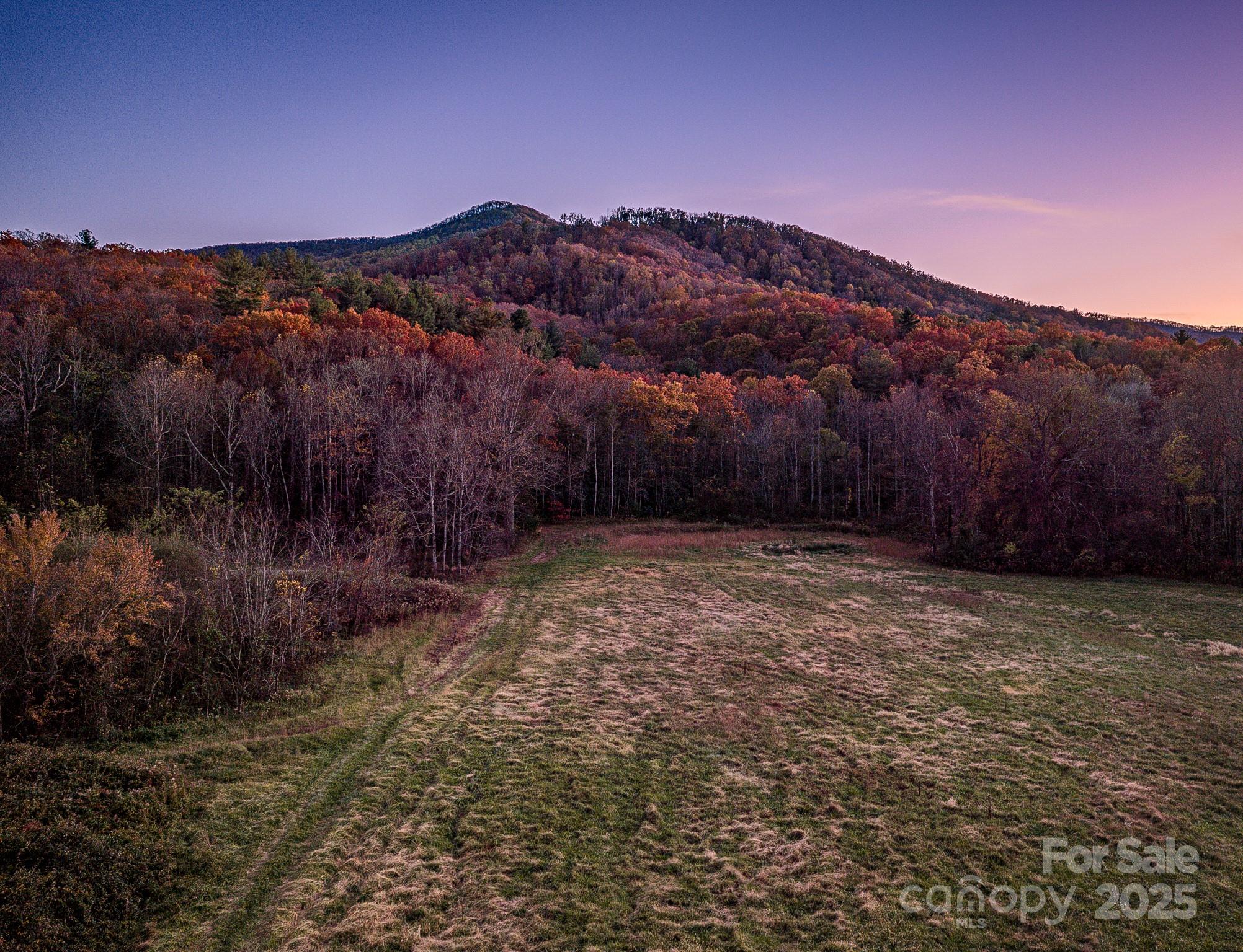 Unimproved Commercial at 195 Access Road, Black Mountain, photo 6 of 8