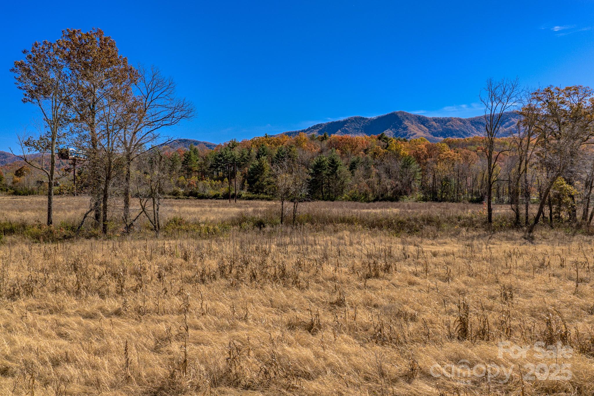 Unimproved Commercial at 865 Blue Ridge Road, Black Mountain, photo 6 of 6