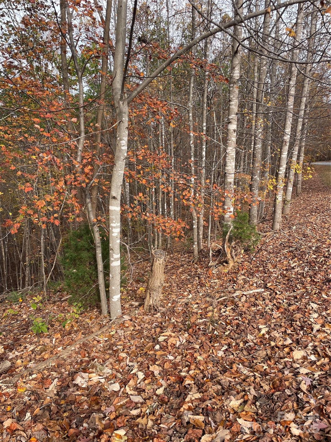 #6 - taken from approximate midway of the road frontage of Lot 72 - V/L Lot 72 & 170 Black Lark Drive, Marion