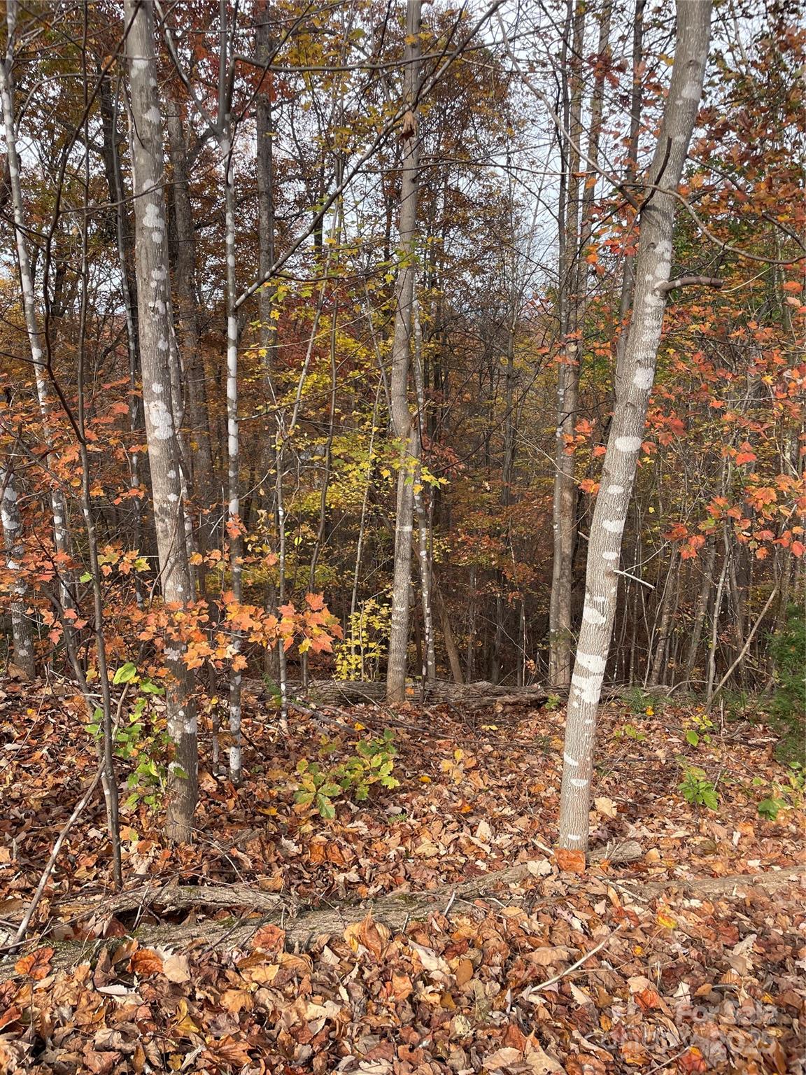 #7 - taken from approximate midway of the road frontage of Lot 727 - V/L Lot 72 & 170 Black Lark Drive, Marion