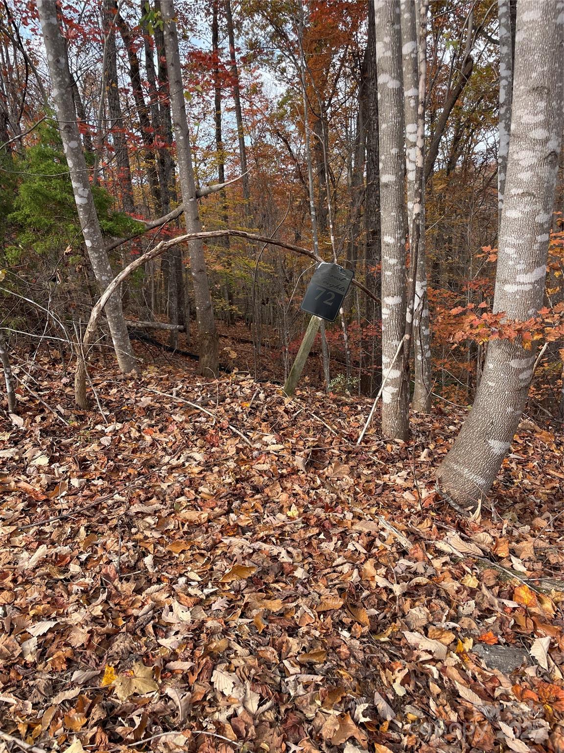 #8 - taken from approximate midway of the road frontage of Lot 72 - V/L Lot 72 & 170 Black Lark Drive, Marion