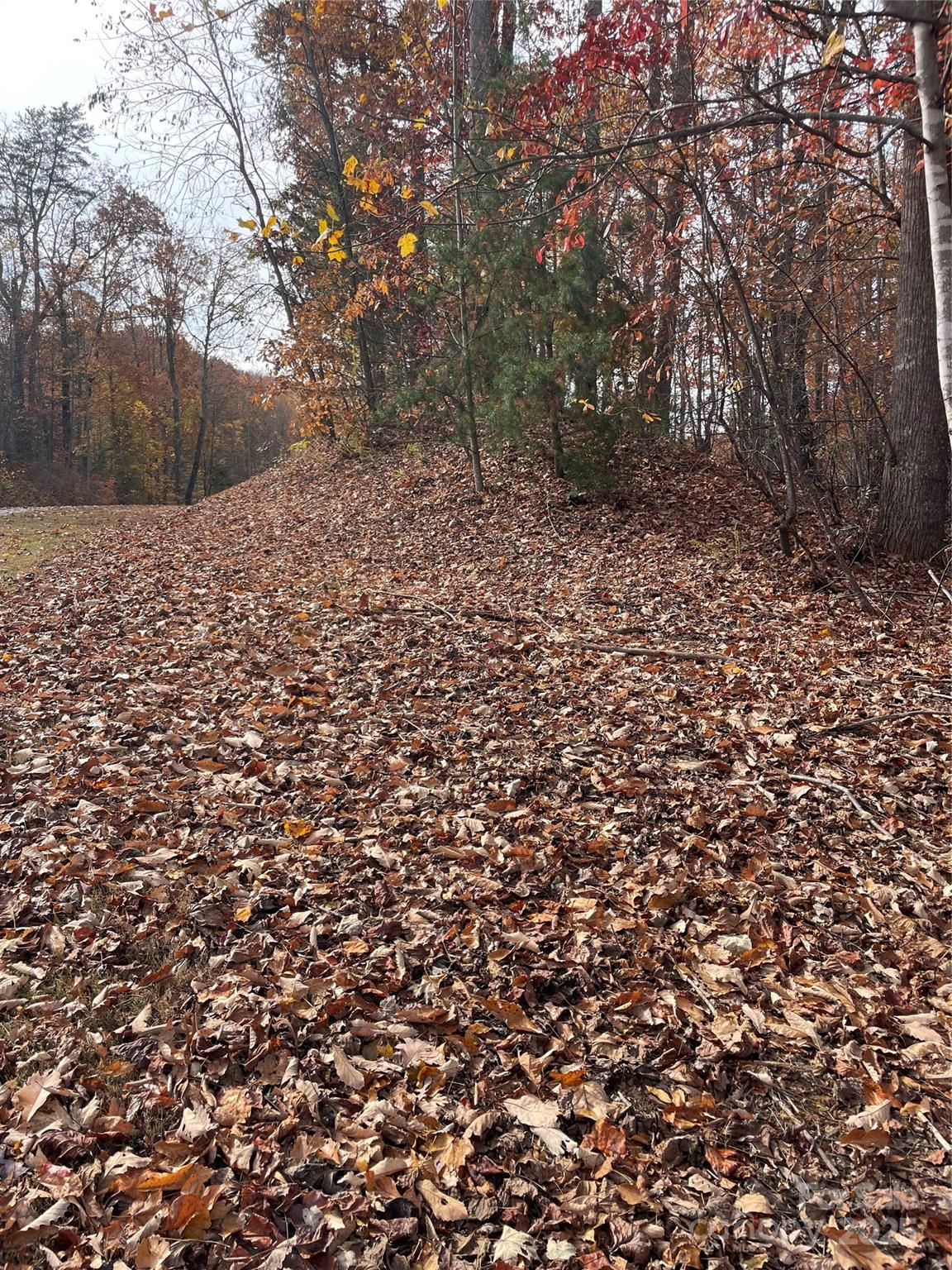 #9 - taken from approximate midway of the road frontage of Lot 72 - V/L Lot 72 & 170 Black Lark Drive, Marion
