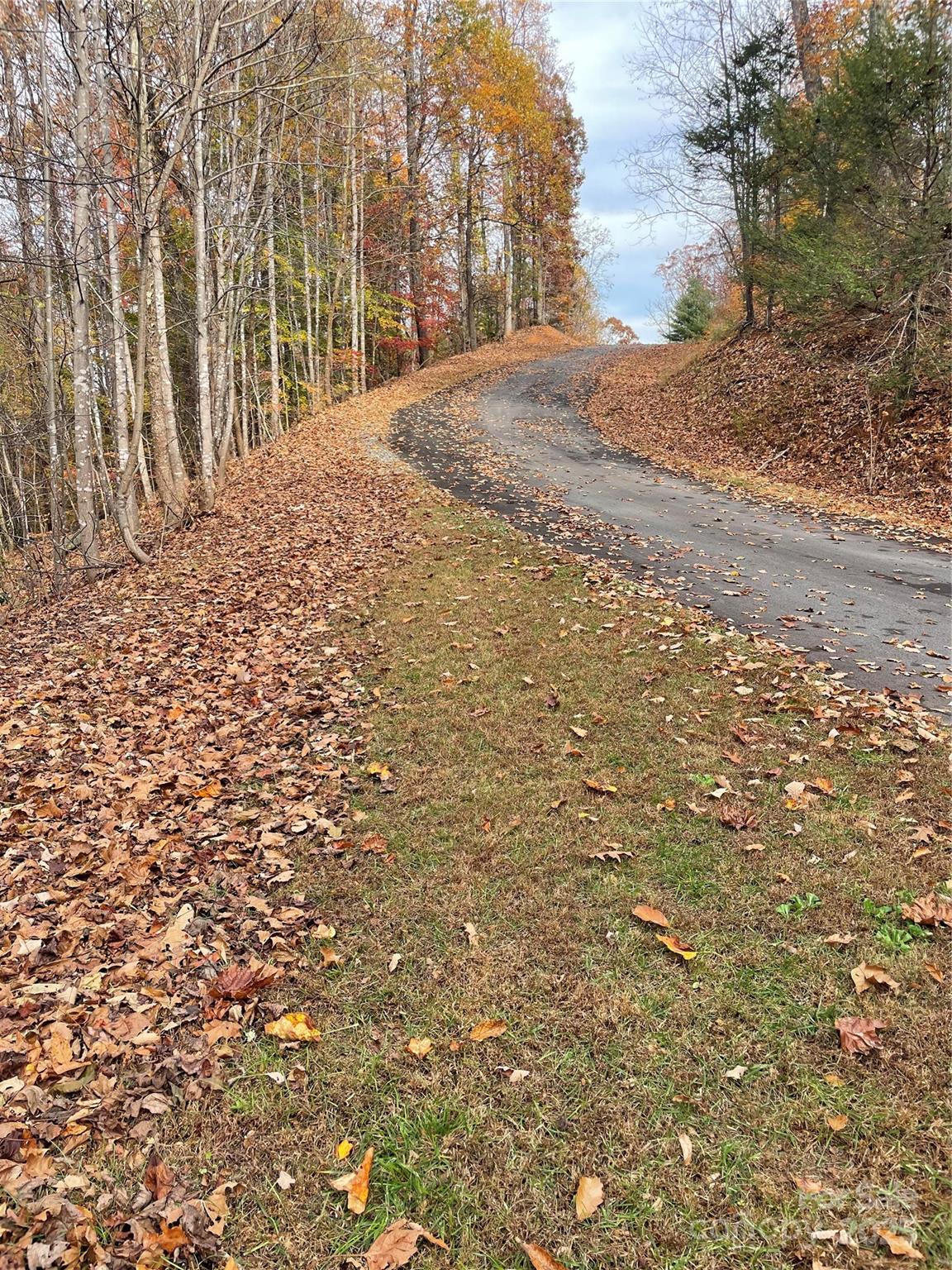 #11 - taken near the property line of Lot 170 - V/L Lot 72 & 170 Black Lark Drive, Marion