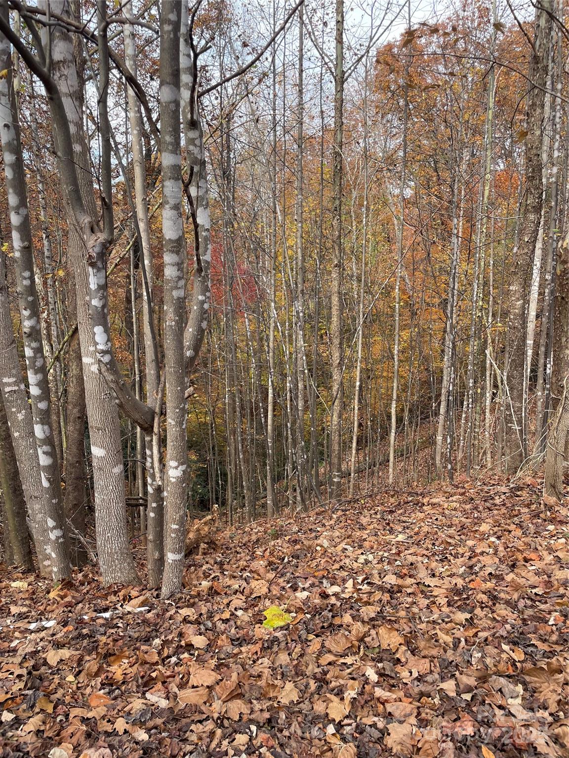 #12 - taken near the property line of Lot 170 - V/L Lot 72 & 170 Black Lark Drive, Marion