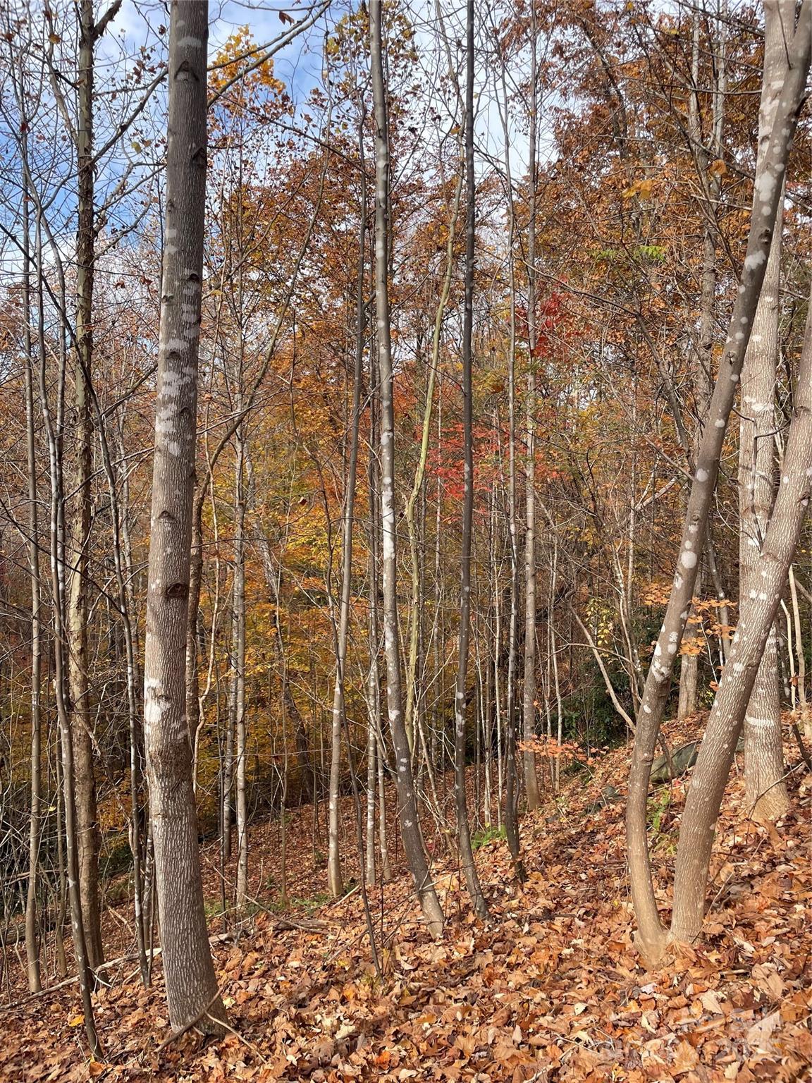 #13 - taken up the road from property line of Lot 170 - V/L Lot 72 & 170 Black Lark Drive, Marion