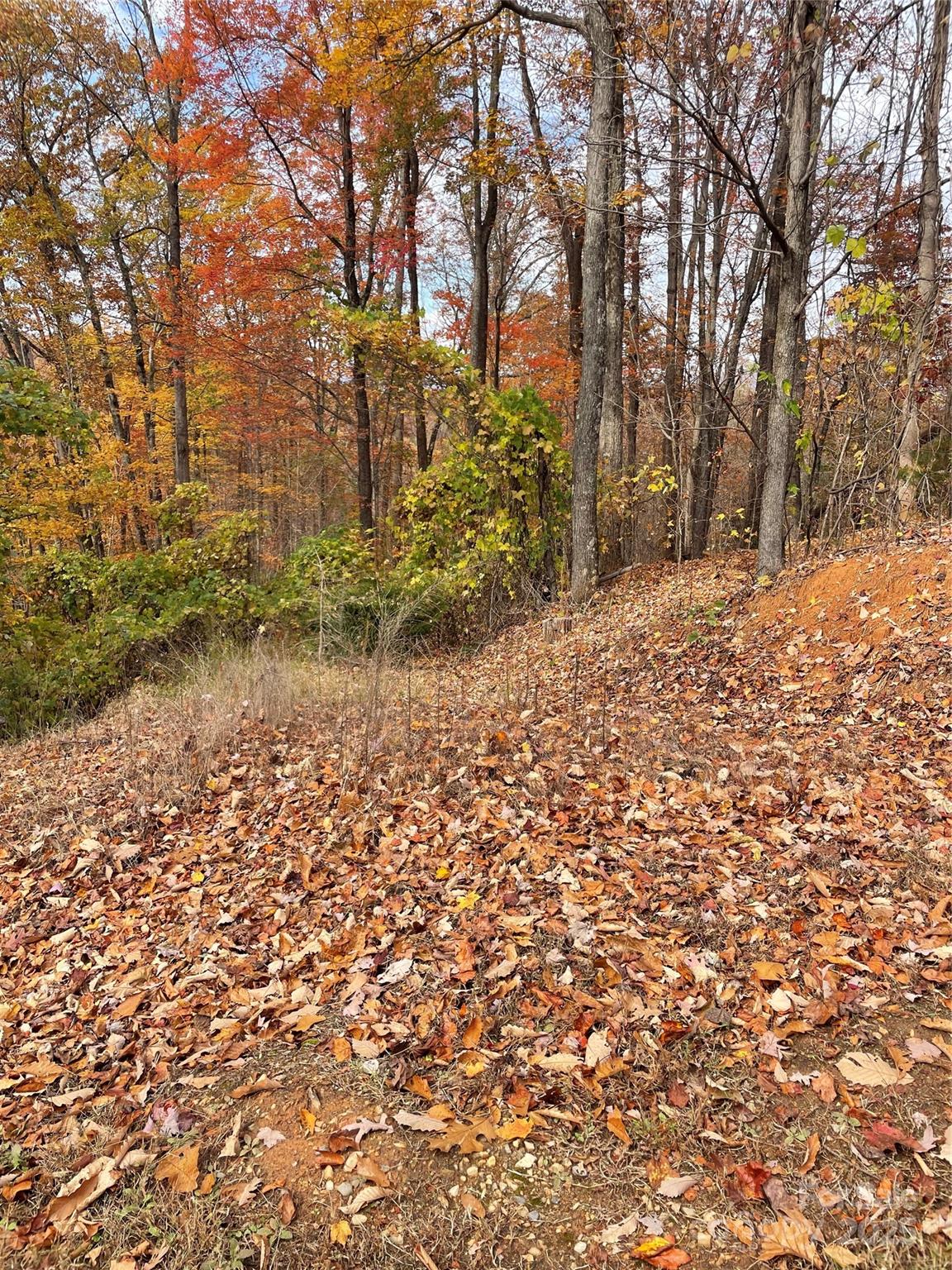 #15 - taken about 3/4 of the way toward the old lot line between Lot 170 and Lot 72 - V/L Lot 72 & 170 Black Lark Drive, Marion