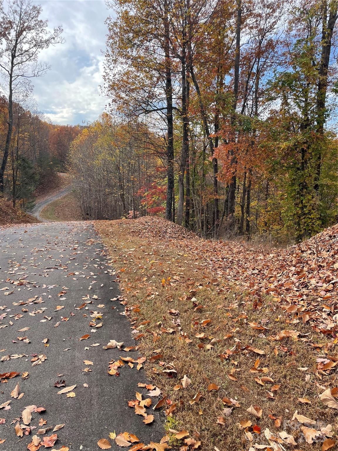 #17 - back toward the property line as the road starts up the hill - V/L Lot 72 & 170 Black Lark Drive, Marion