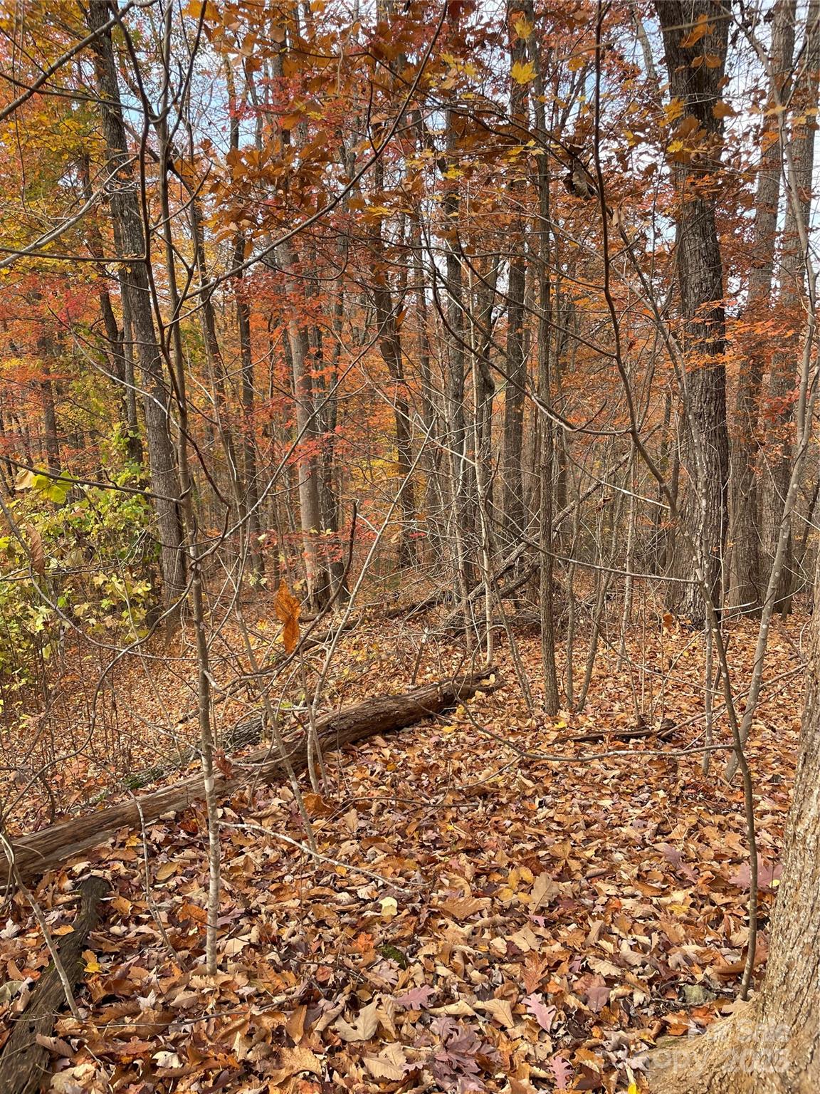 #18 - from on top of the bank at the road - V/L Lot 72 & 170 Black Lark Drive, Marion