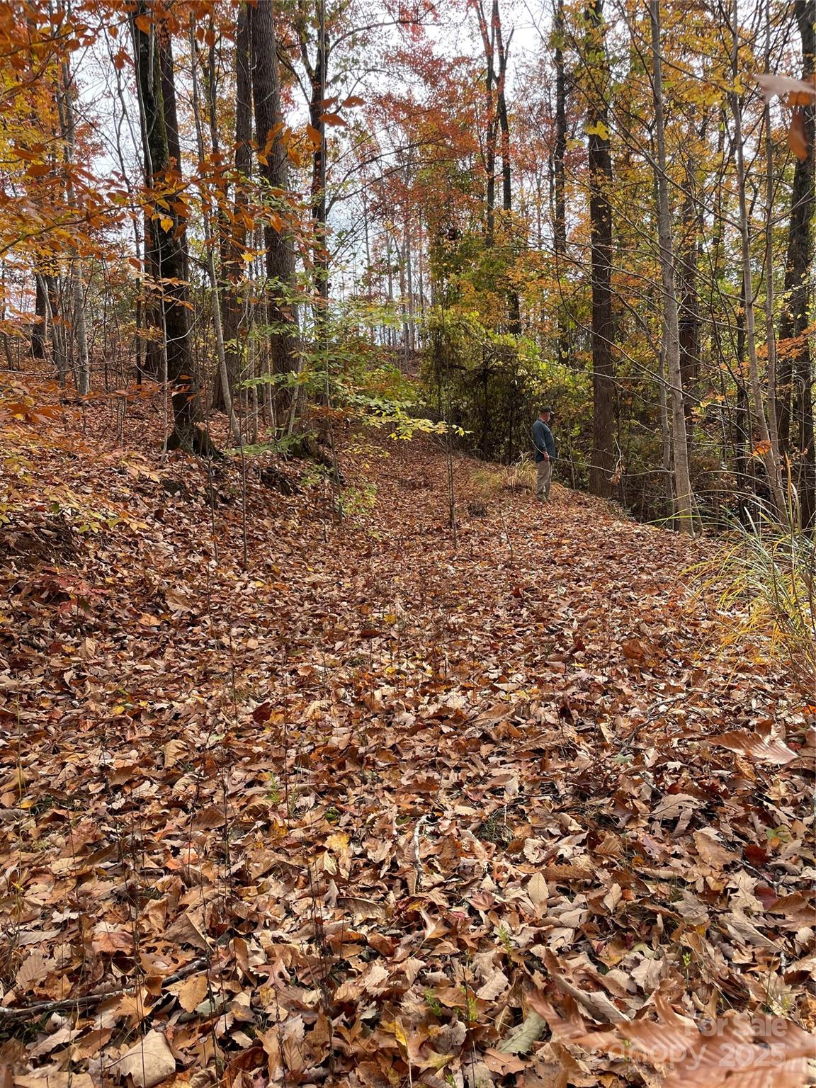 #23 - at the bottom of the previously graded and gravel drive - V/L Lot 72 & 170 Black Lark Drive, Marion