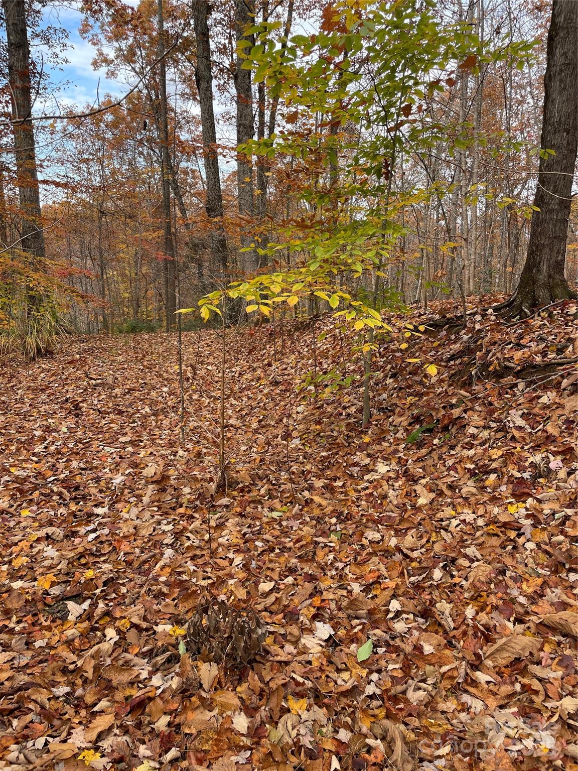 #26 - V/L Lot 72 & 170 Black Lark Drive, Marion