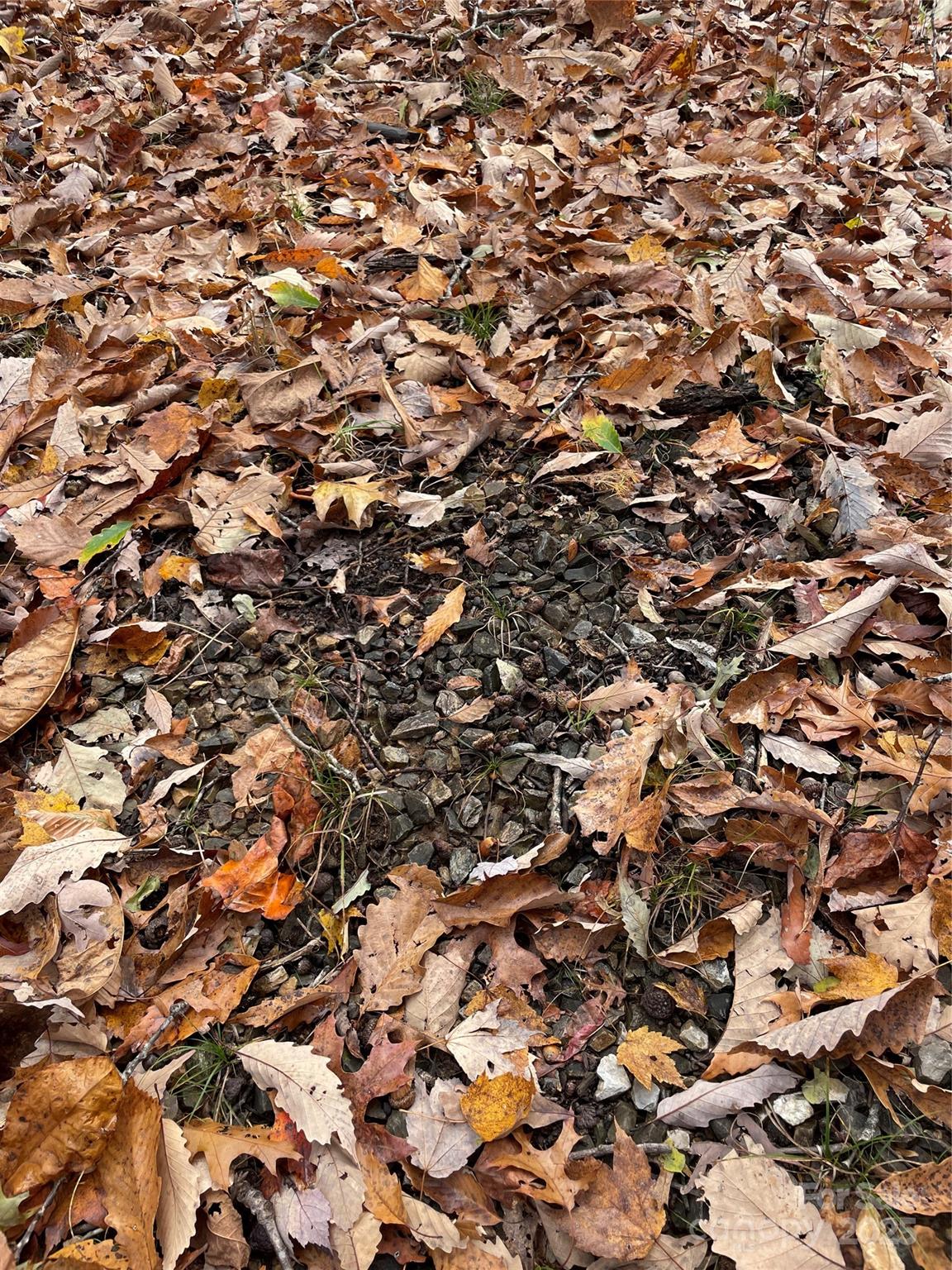 #28 - Gravel hidden by the leaves - V/L Lot 72 & 170 Black Lark Drive, Marion